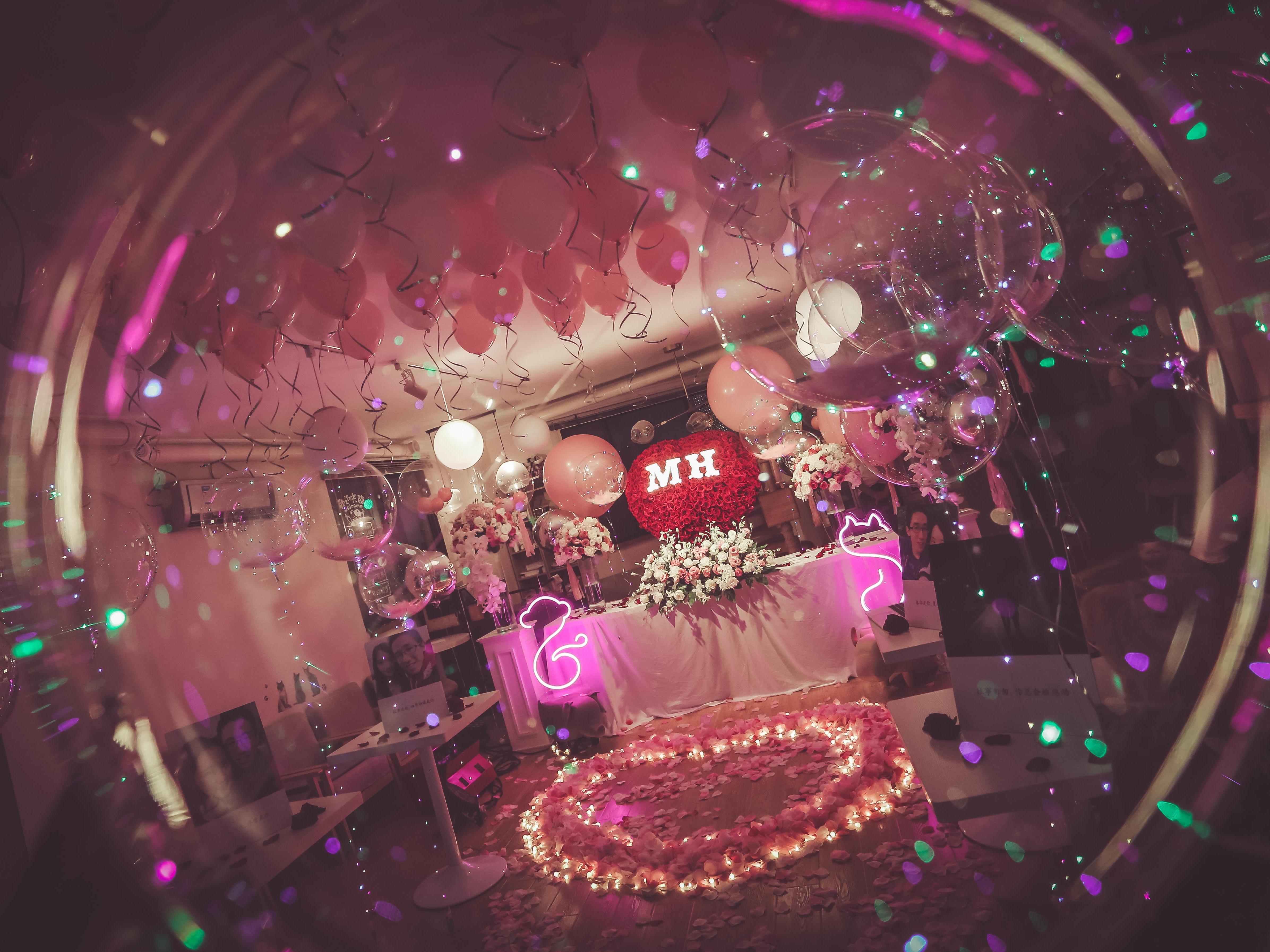 宠物咖啡馆求婚 爱猫人士的专属浪漫