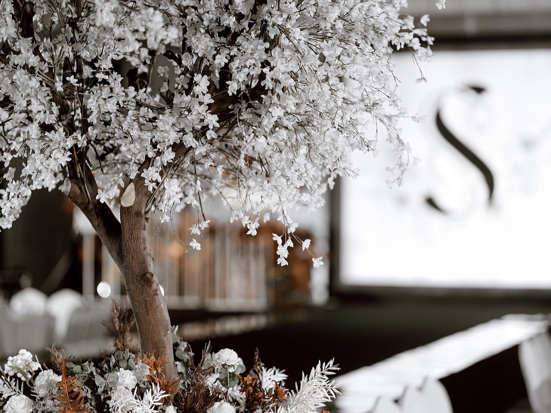 【拉菲婚礼】——高级感韩系婚礼限购活动进行中~~