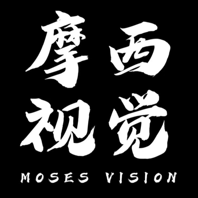 null摩西视觉MosesVision
