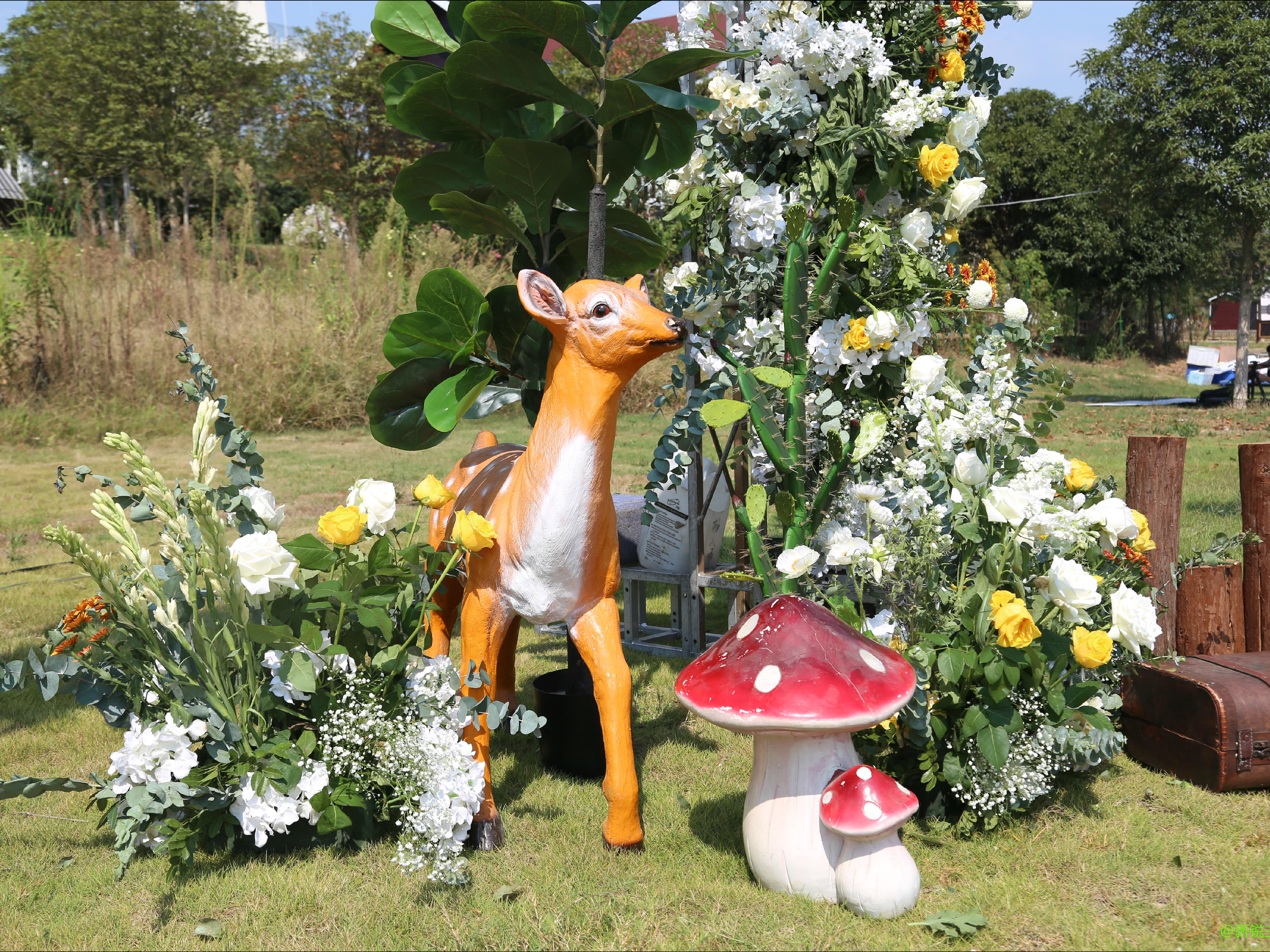 草坪婚礼、互动强、【限量特售】