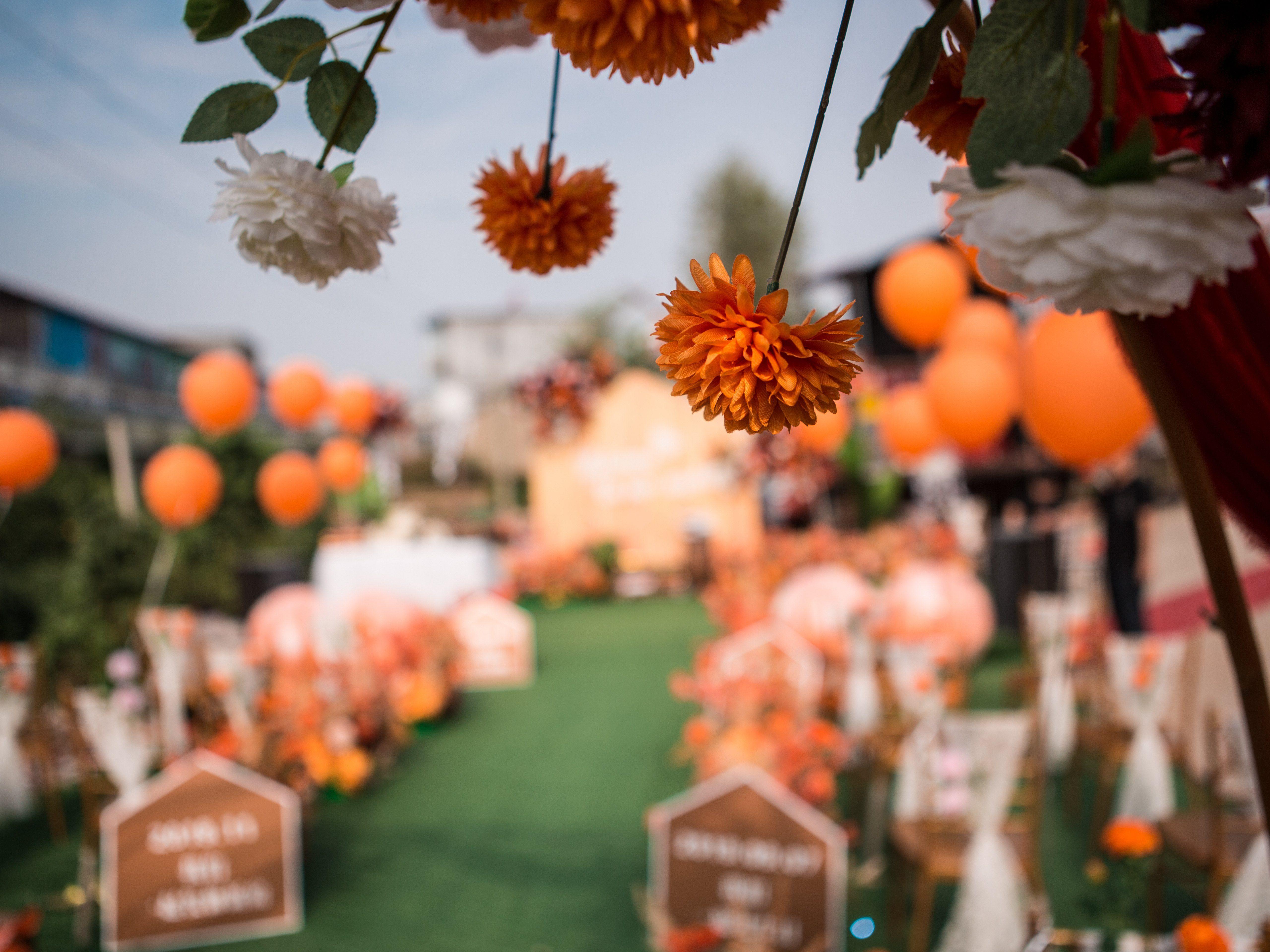 喜礼婚嫁/农村户外/田园风婚礼/含主持摄像