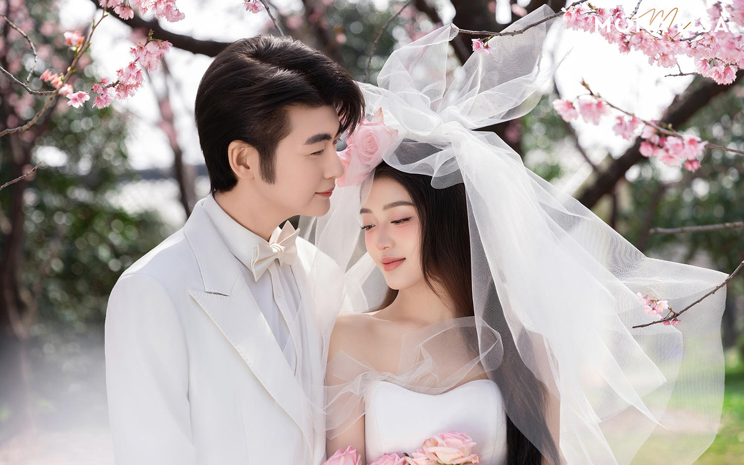 櫻花樹下的心動狙擊！這組婚紗照浪漫到心顫