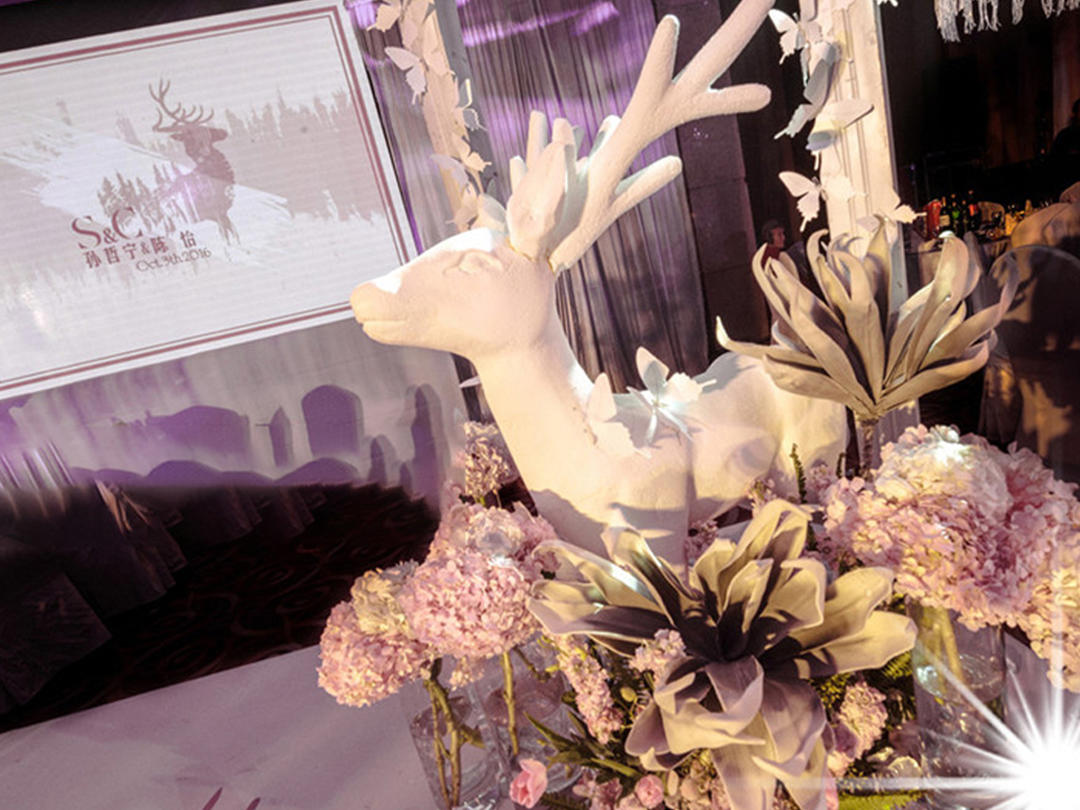 【渊蓝】梦幻璀璨星光超值套餐