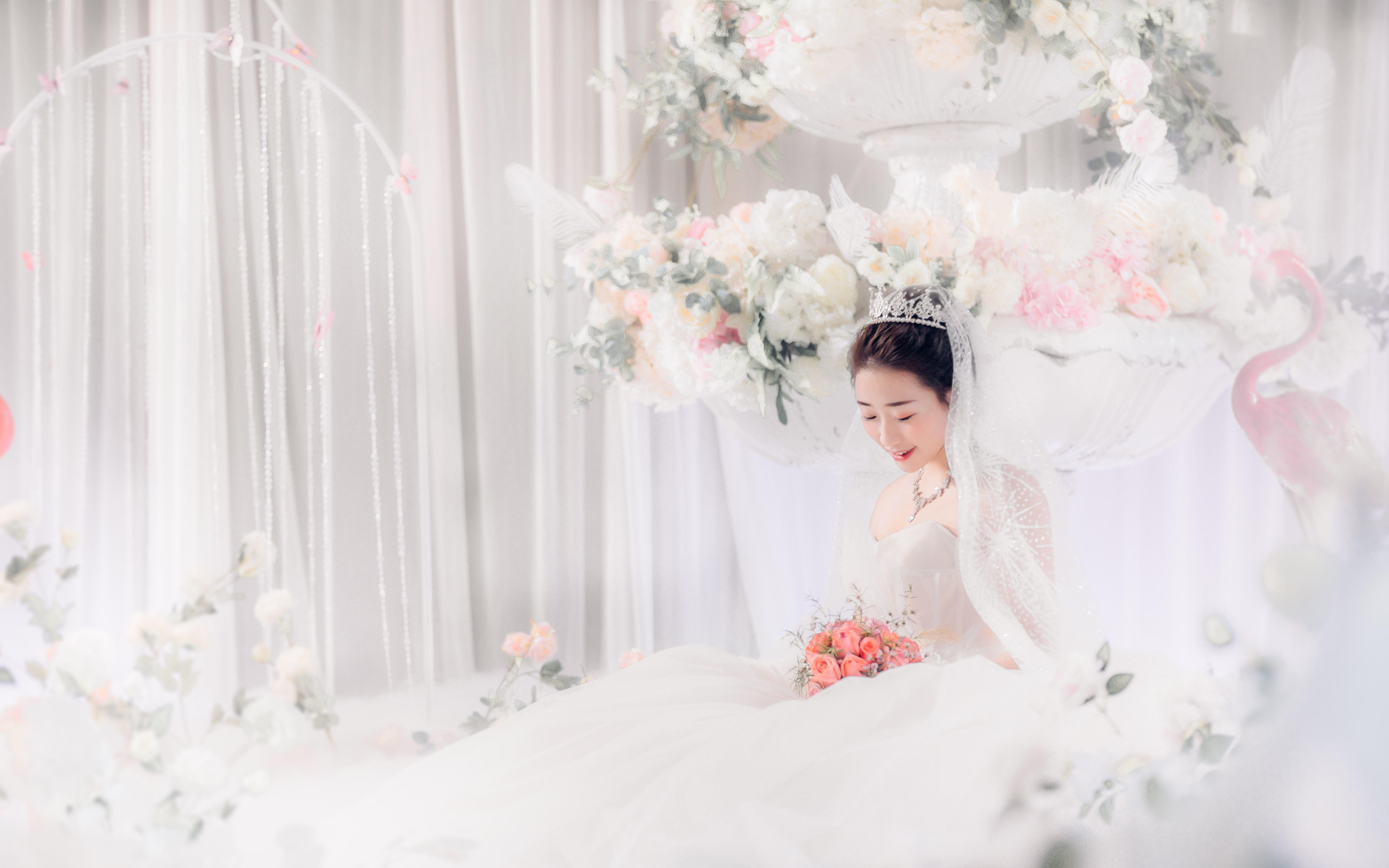小仙女的梦想              