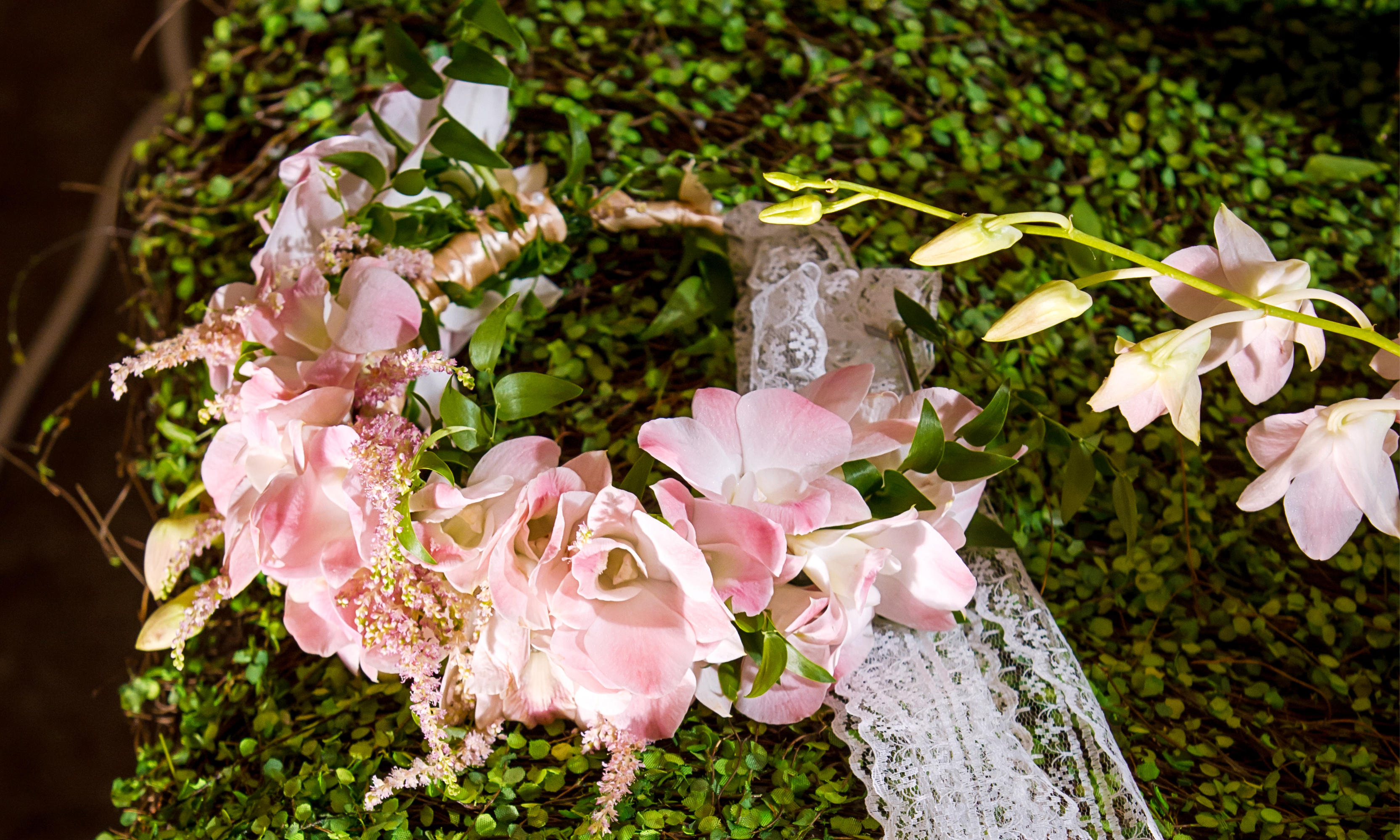 主题婚礼--生命中的精灵