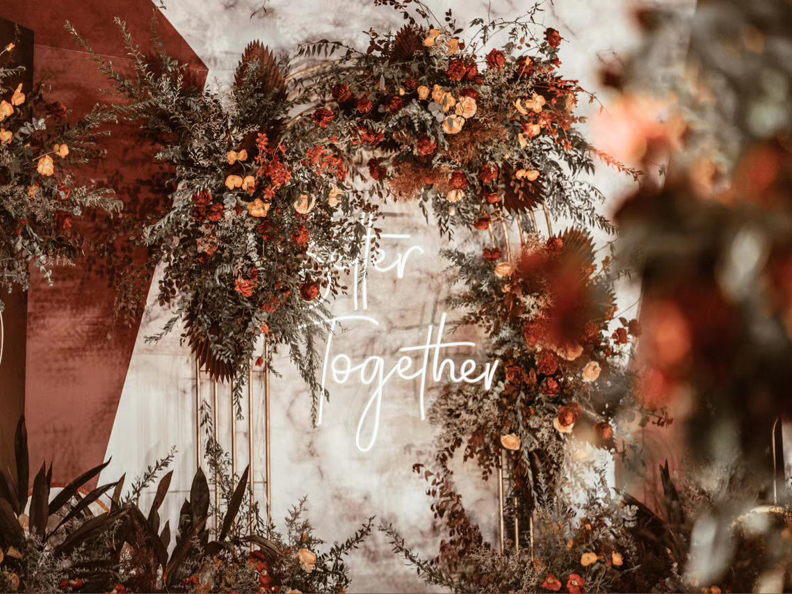 包含四大金刚 超热橙色藏橘色 特惠