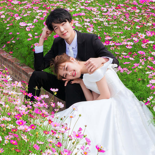 #大画视觉#客样分享-唯美花海7.0