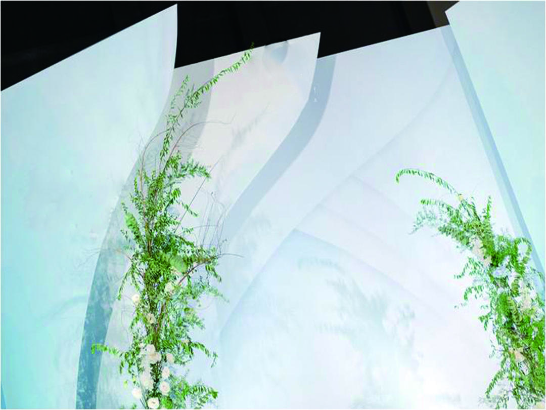 兰州桑上婚典悉尼歌剧院下的高白