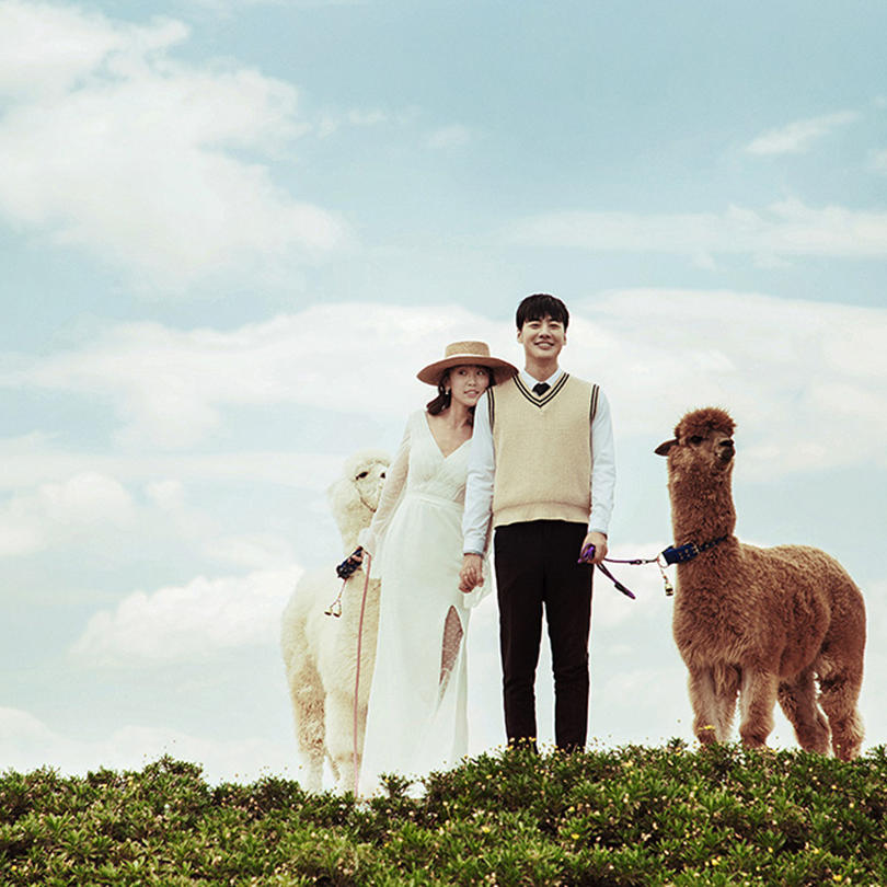  冰川公园+蓝月谷5A景区+送酒店+机票补贴