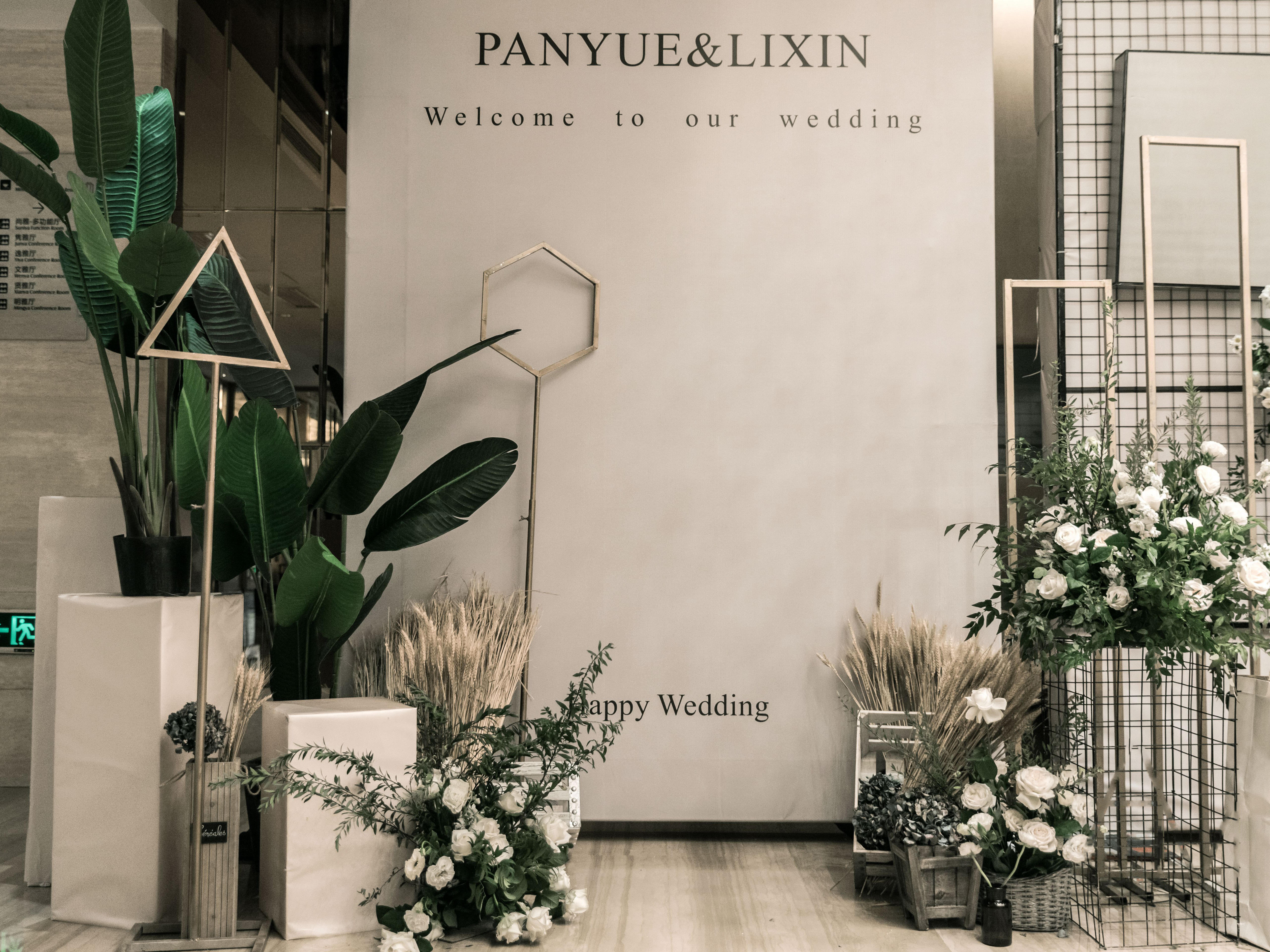 云麓婚礼说-简约白绿ins