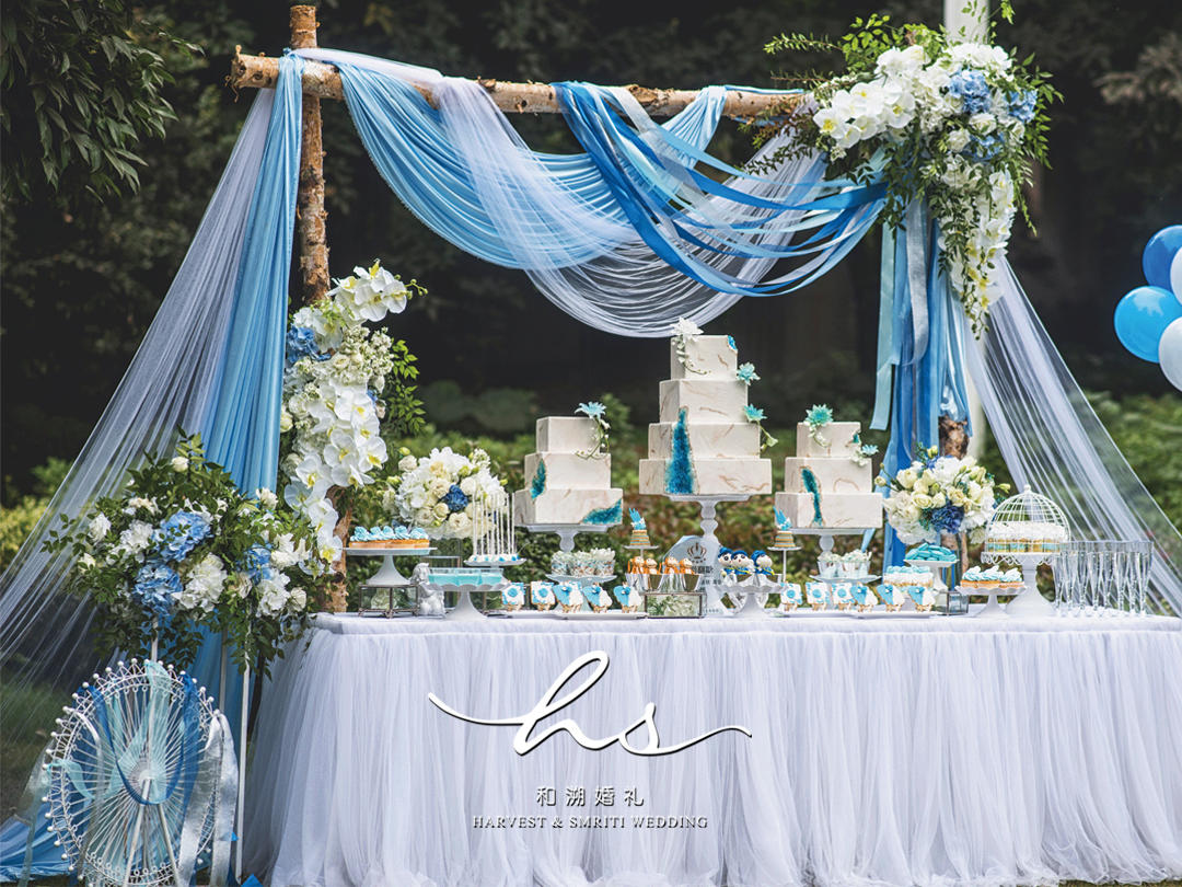 《Hug you》白蓝色小清新草坪婚礼
