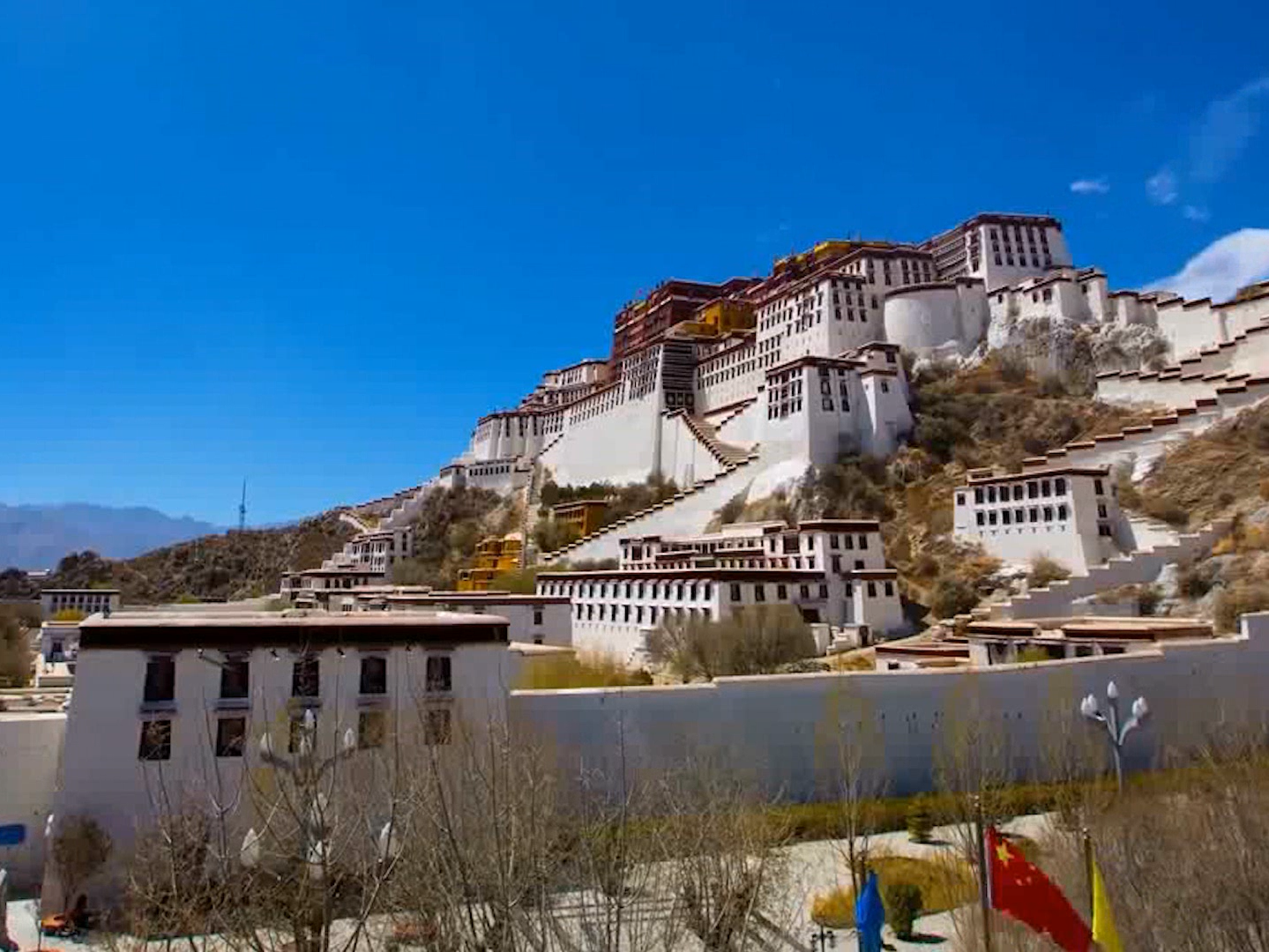 【11年婚礼主持讲师】+走心【唯美大气】婚礼