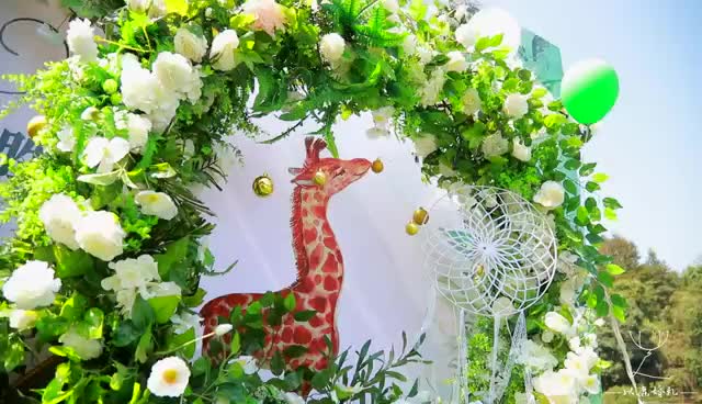 农村婚礼森系小清新送主持摄影