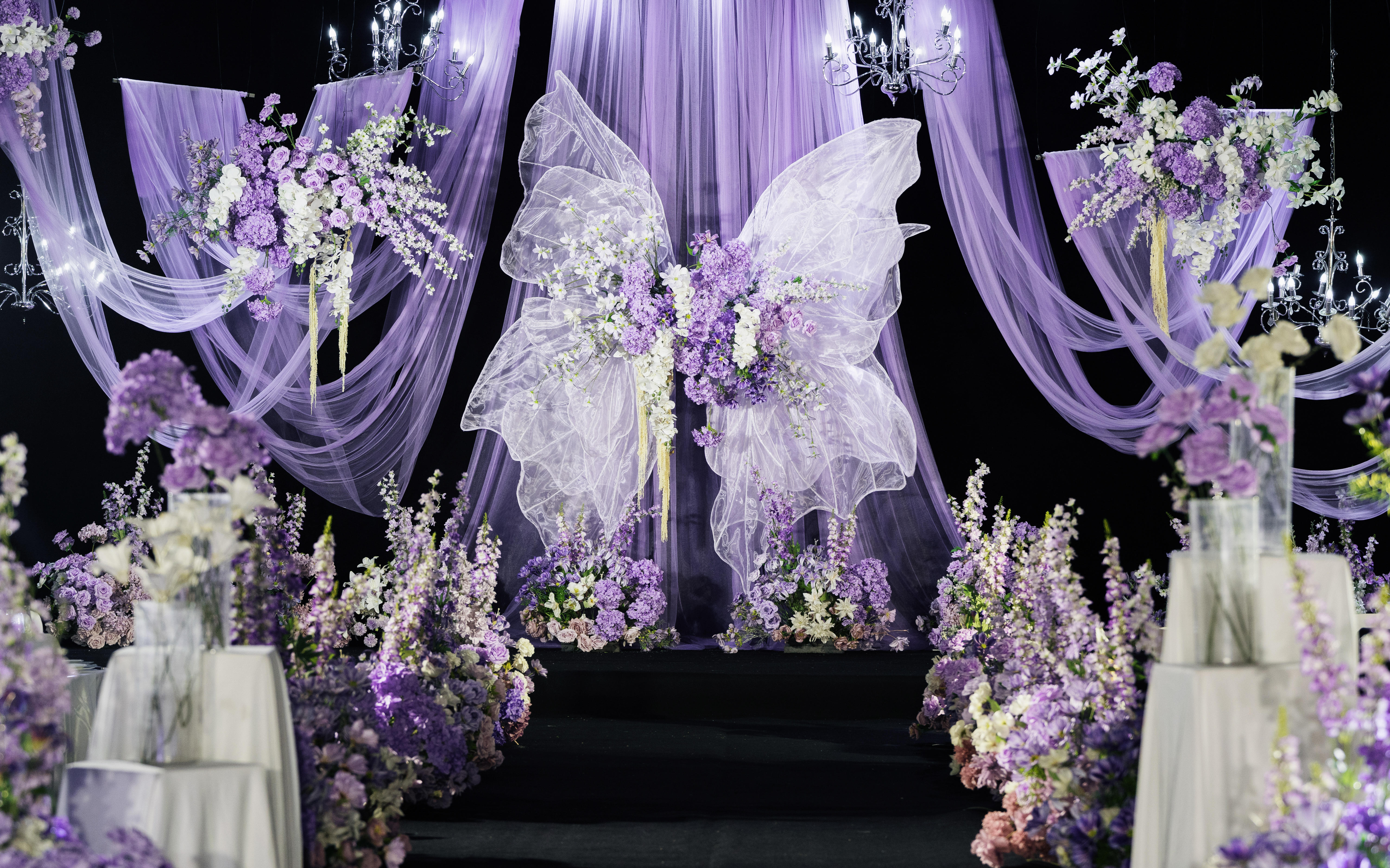 紫色是浪漫底色，蝴蝶是心动信使，而你是我的终点