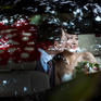 【明星组合】婚礼跟拍+婚礼摄像