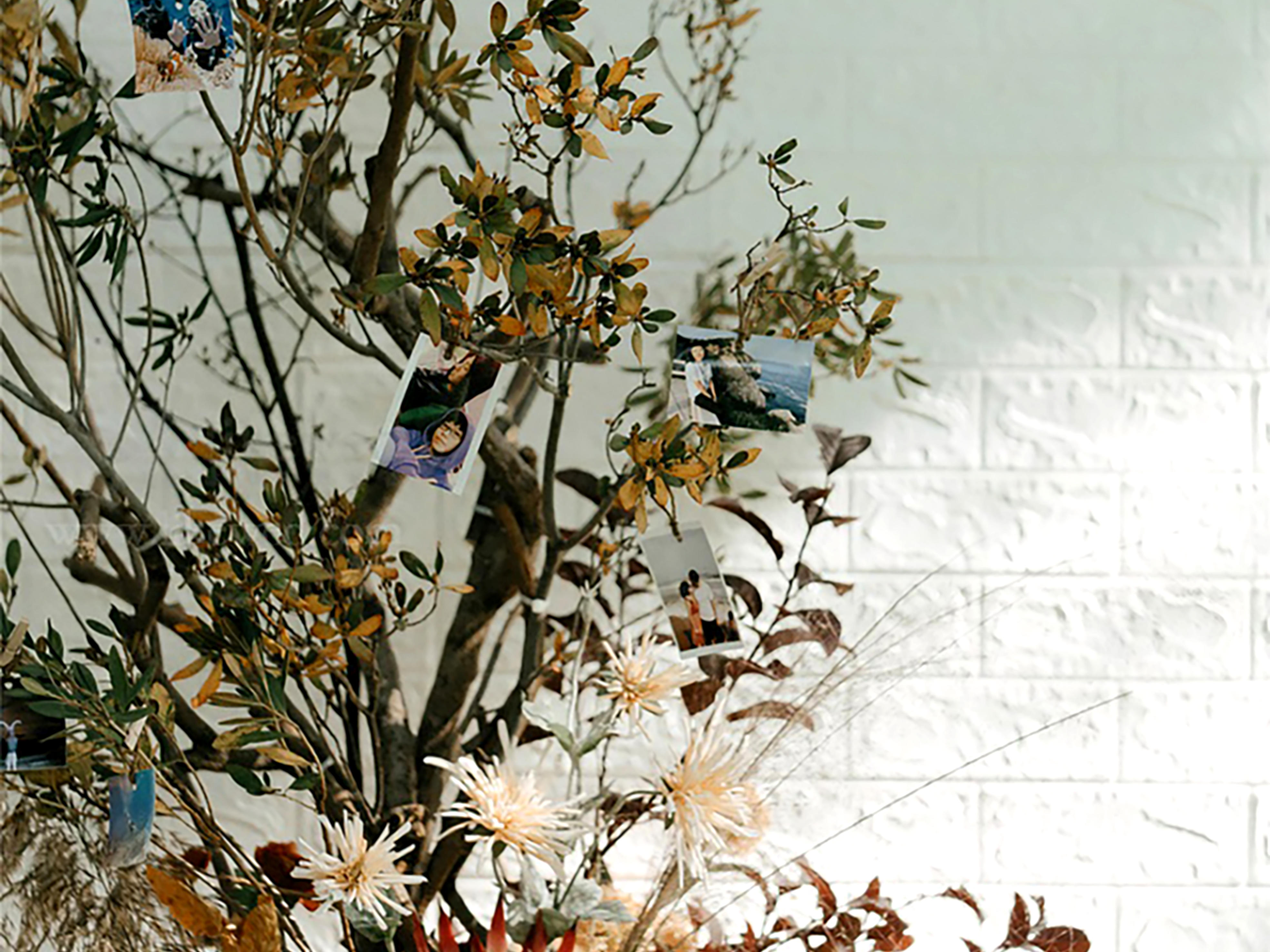 佳日盛典婚礼/农村场地婚礼/活动爆款