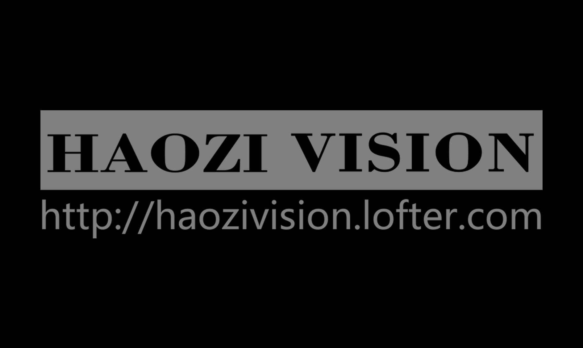 Haozi-Vision