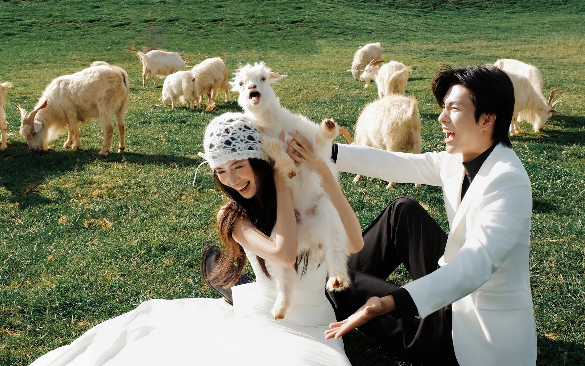 救命！我的婚纱照被小羊抢镜了😂