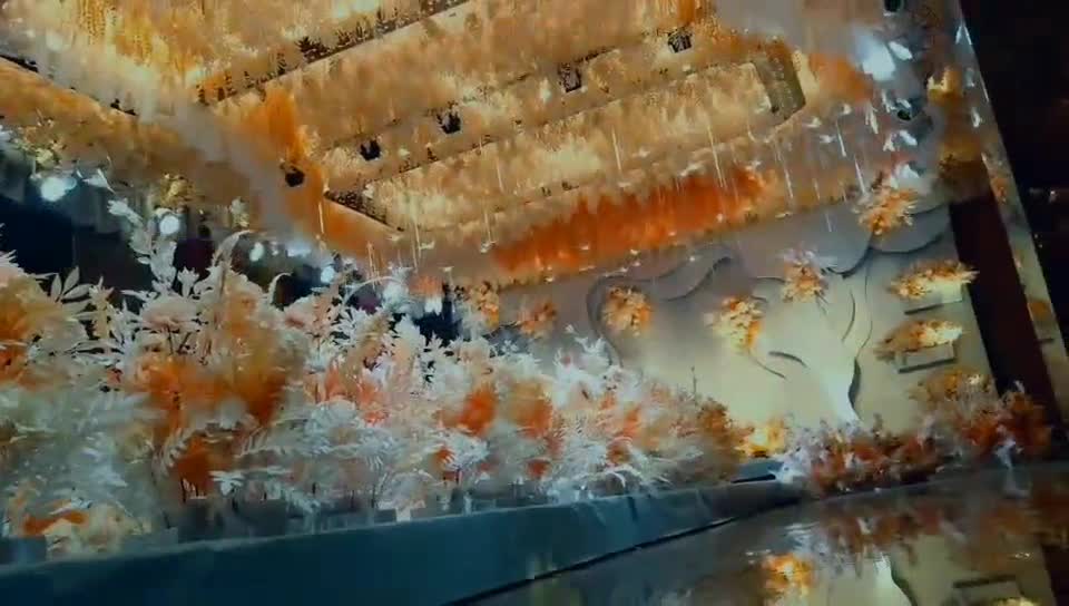 沧州婚礼堂 沧州宴 红双喜婚礼 唯美梦幻 轻奢