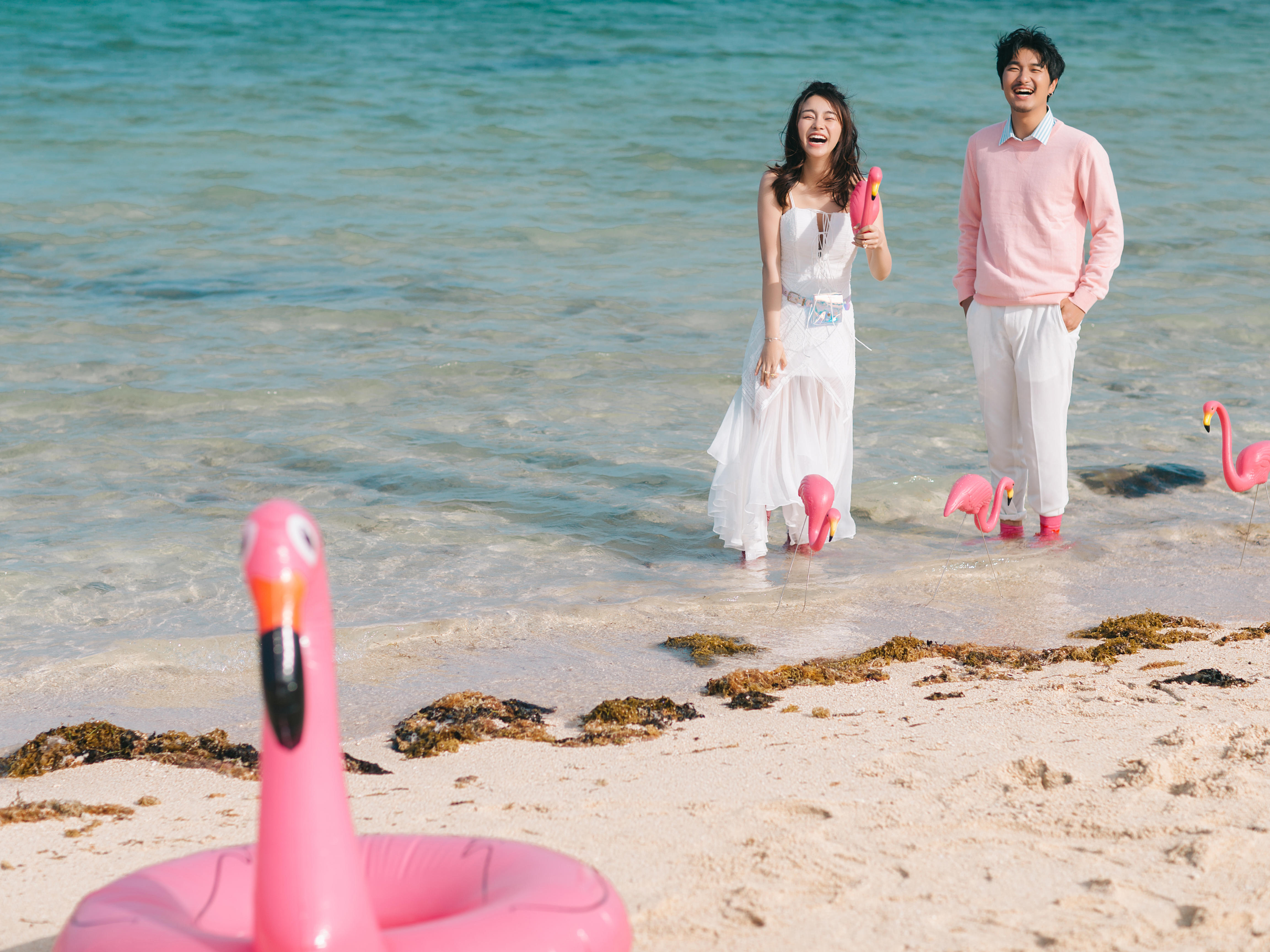 侧啥的啊加快速度就f测试