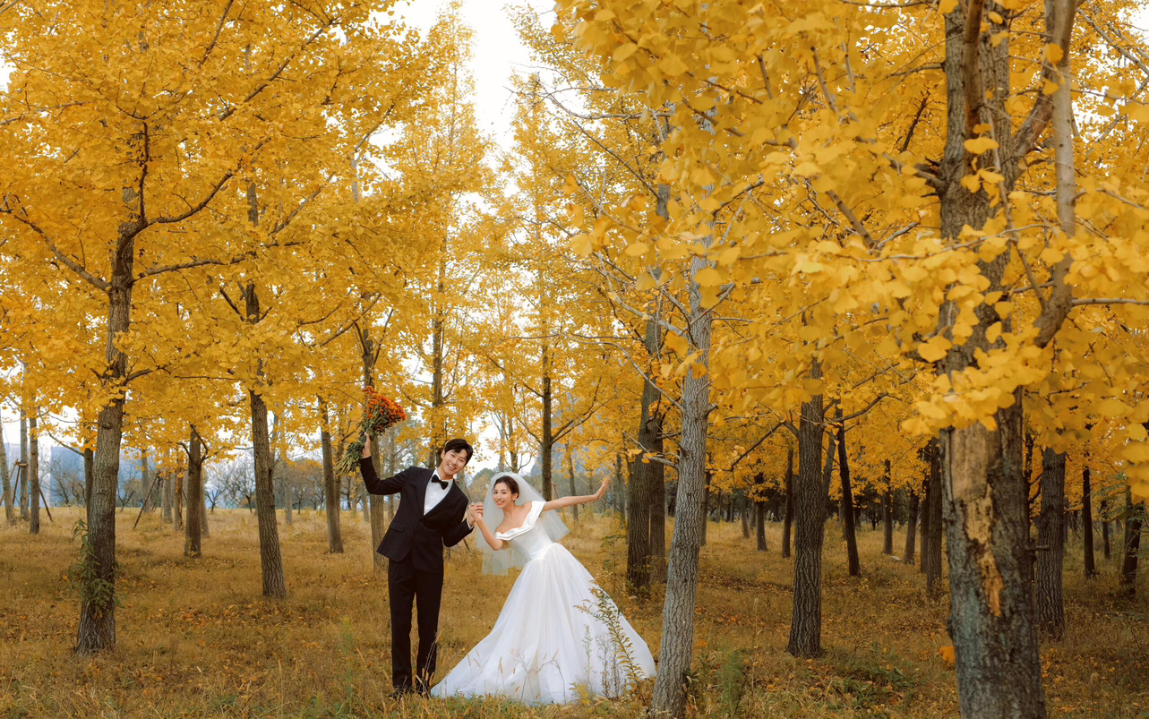 秋日婚纱照必拍系列！石家庄婚纱照推荐系列