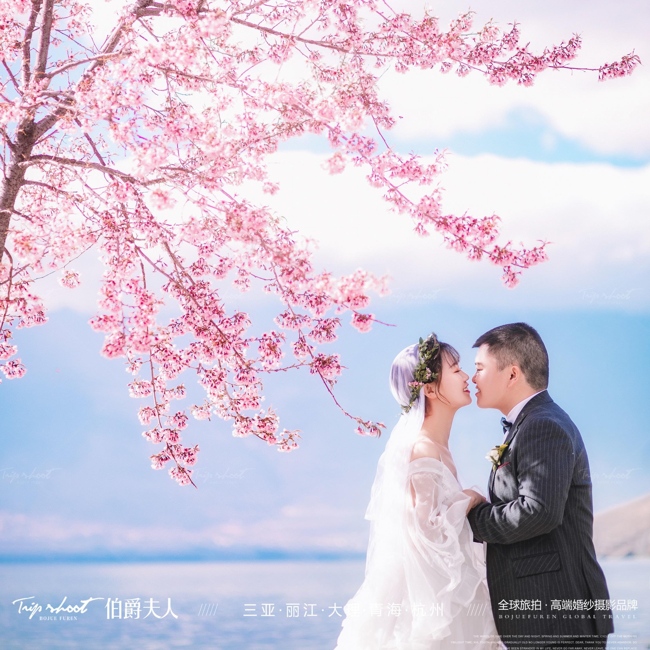 伯爵夫人全球旅拍.大理站《浪漫樱花》