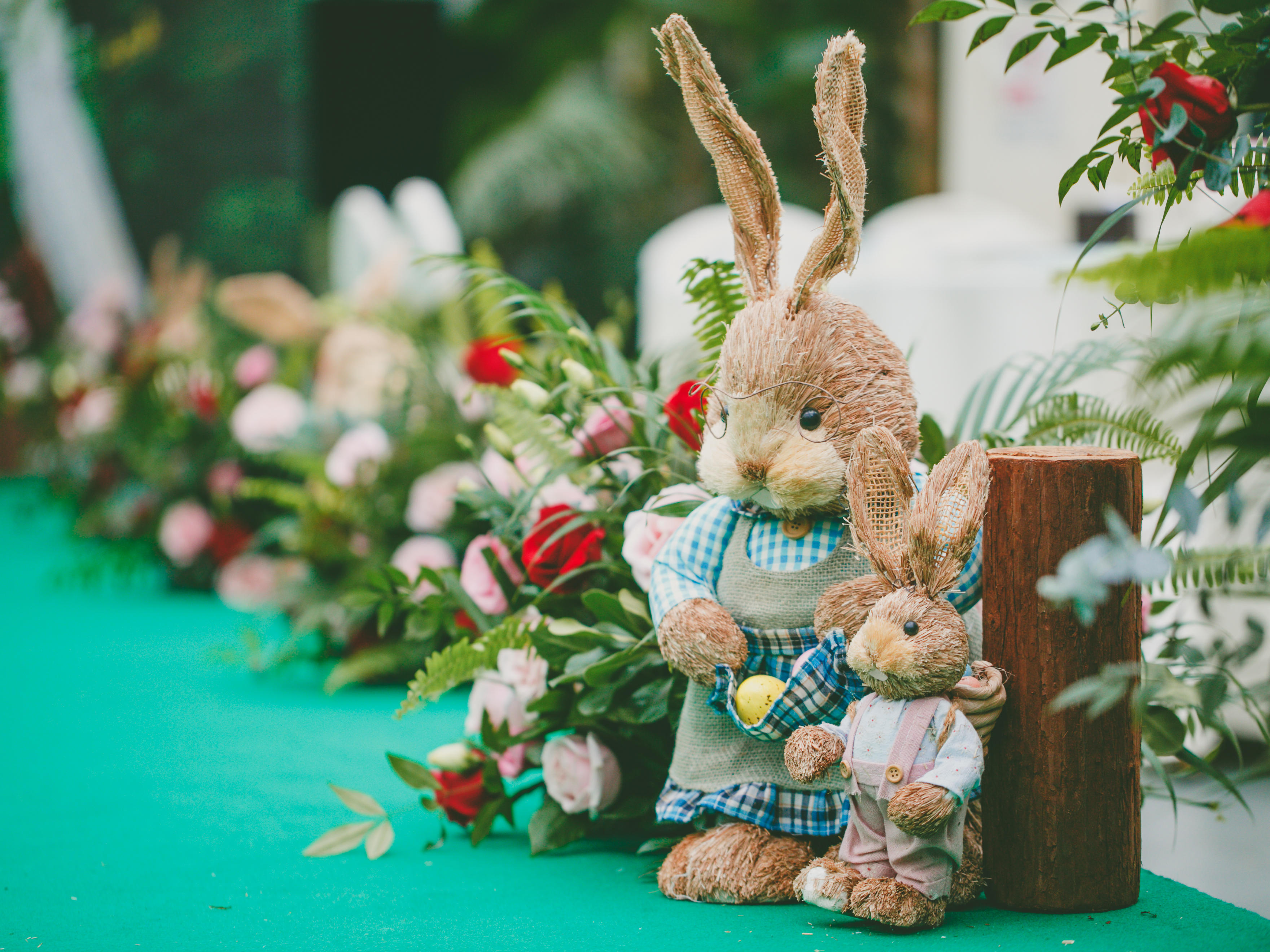 【熙 · 婚礼】小型婚礼 一价全含精致森系