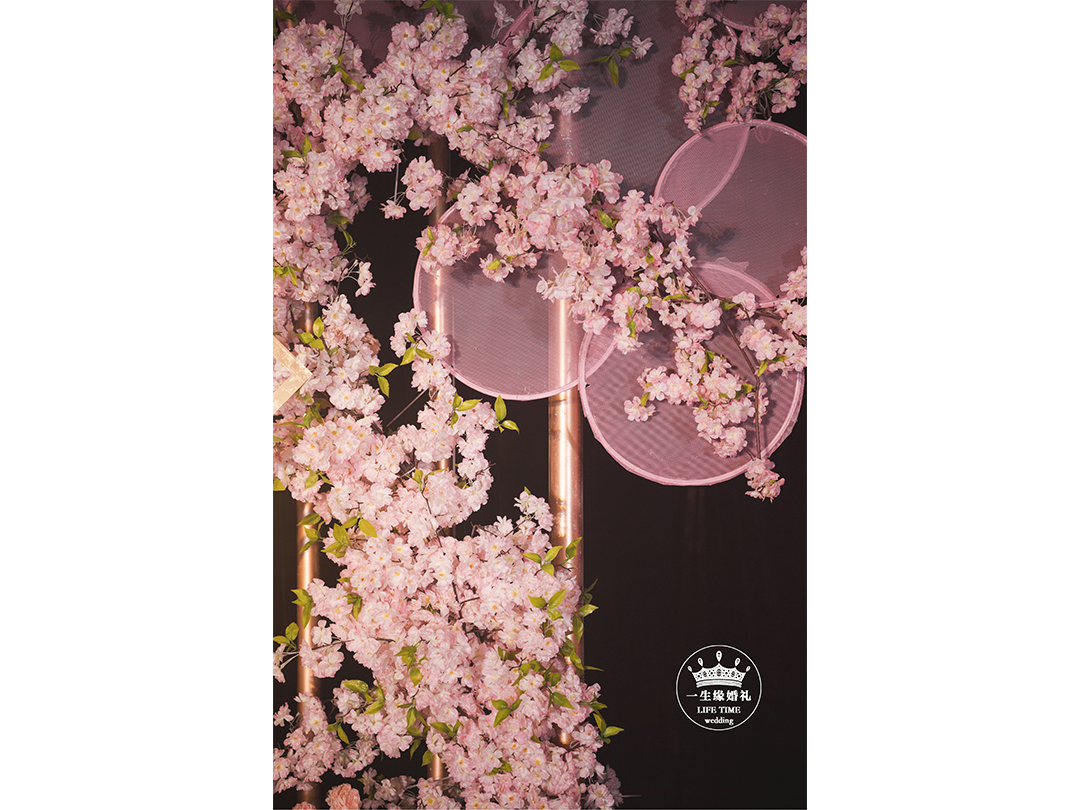 唯美《粉红邂逅》LIFE TIME 一生缘婚礼