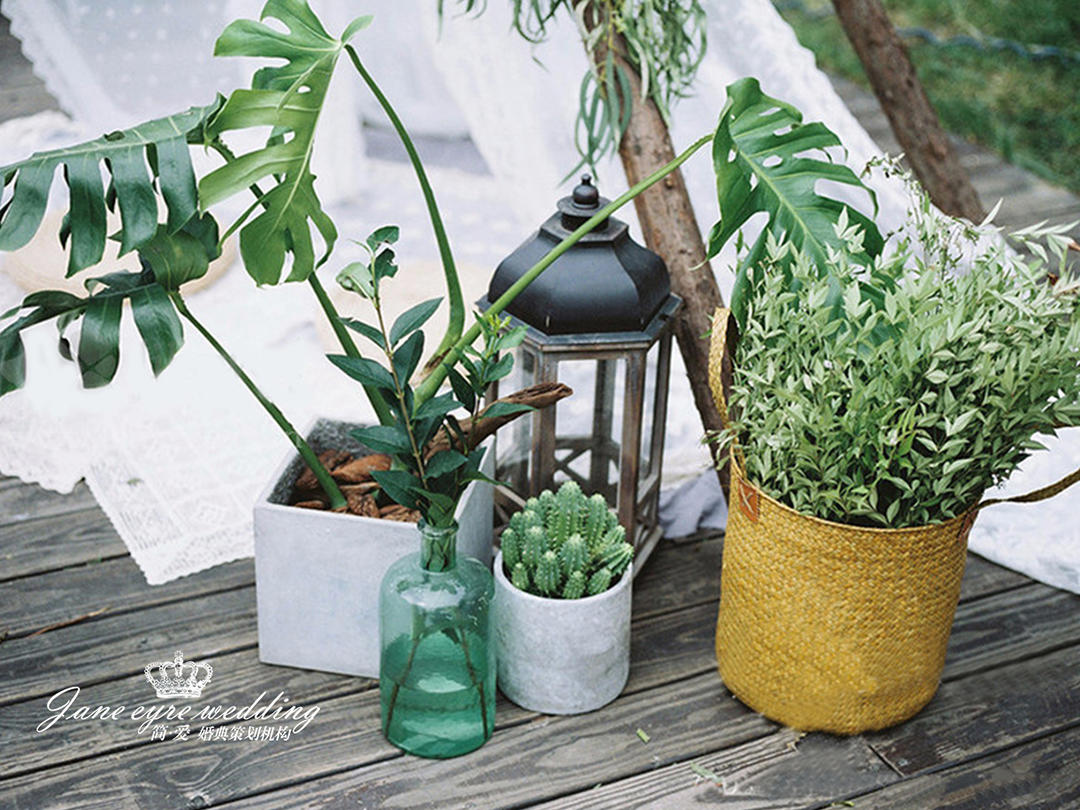 小型 户外婚礼—无节操低价 一站式套餐