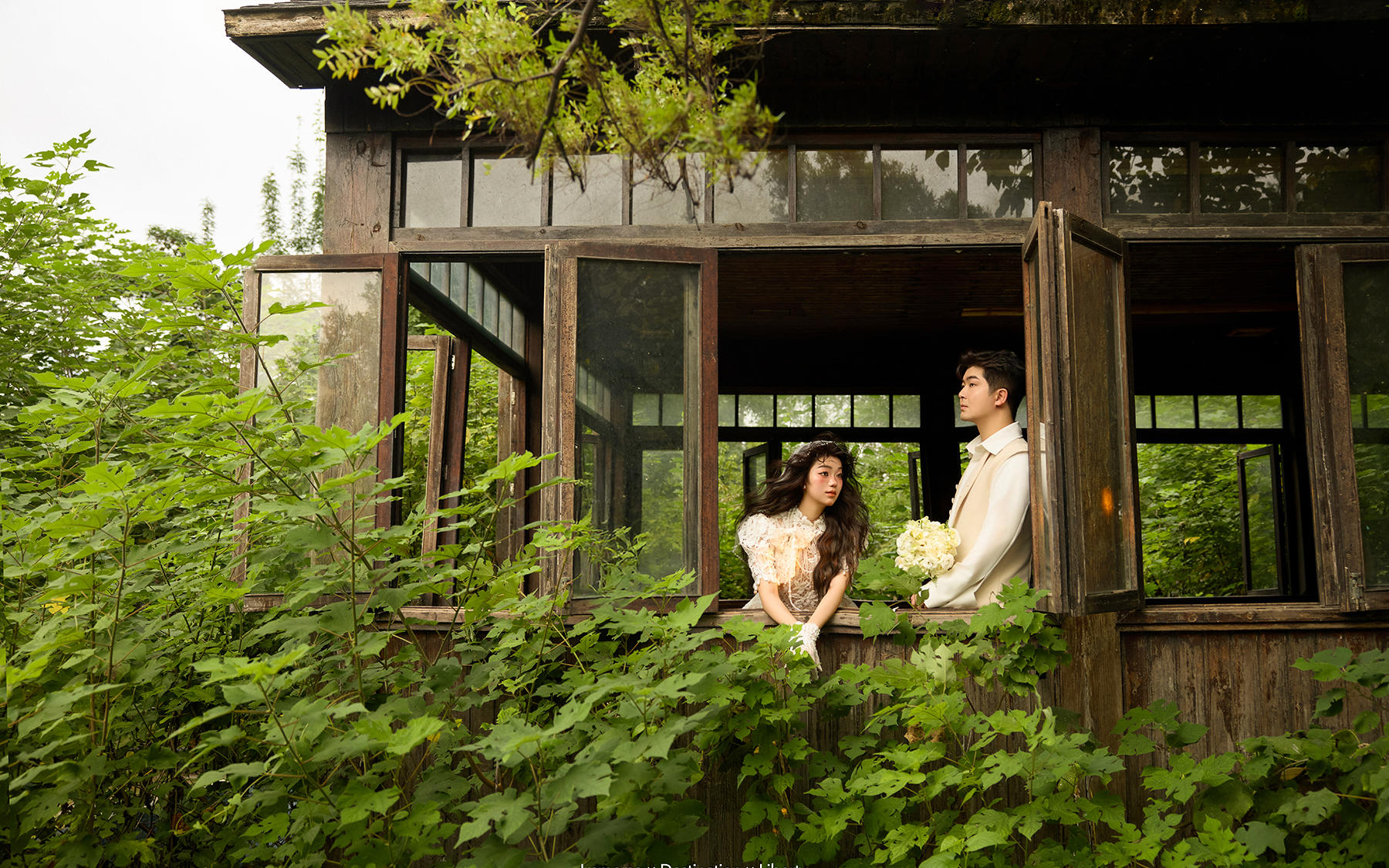 【真实客片】森系婚纱照丨许光泽&吴思思