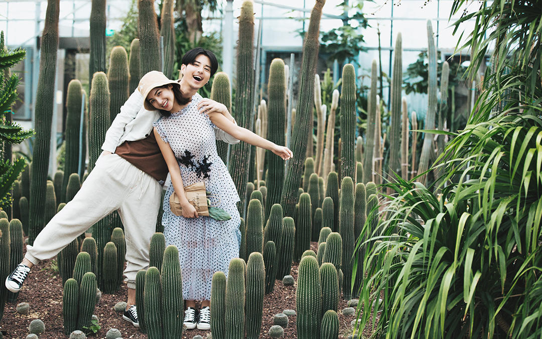 簡約|套系半價|送定制婚紗