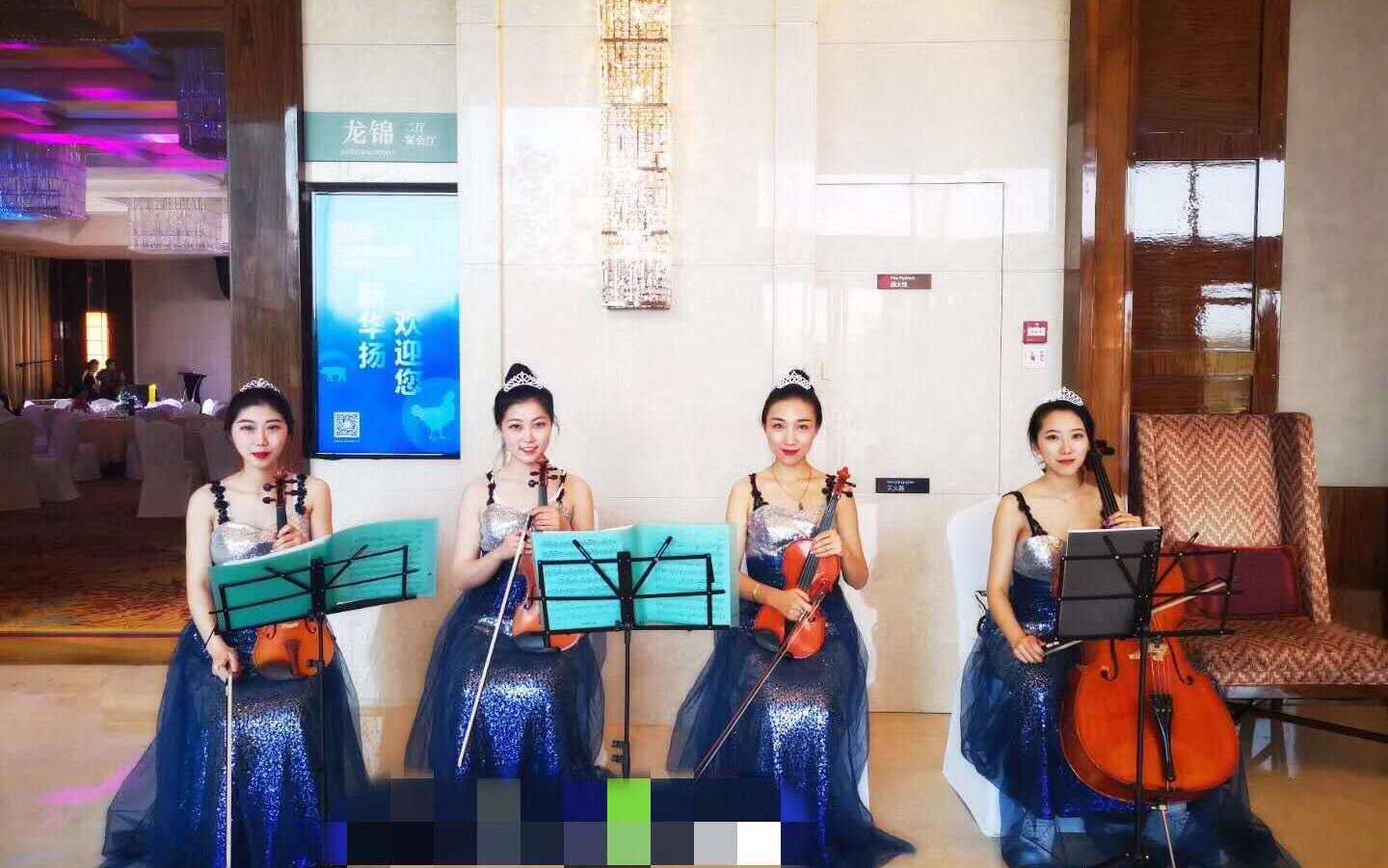 小提琴四重奏，迎宾演奏，草坪婚礼