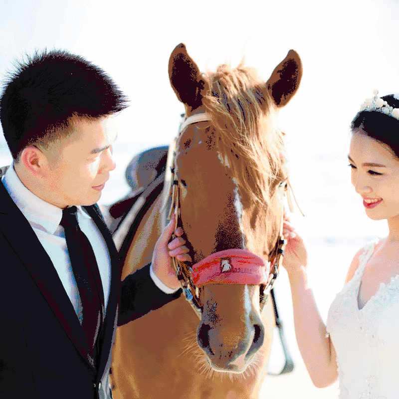 【三亚旅拍】3天2晚星级酒+游艇拍摄+无隐形消费