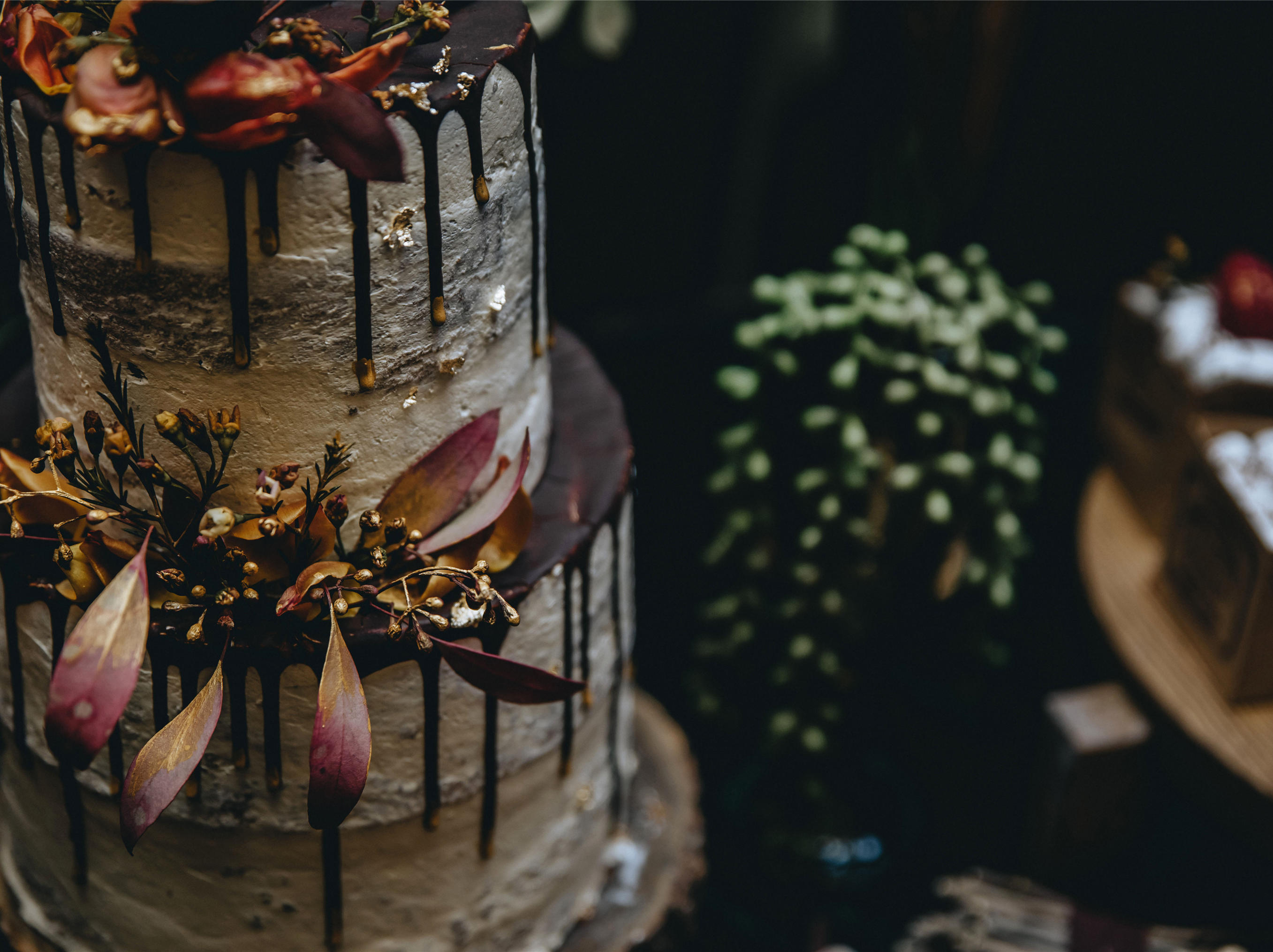 写进千山落笔是你 书尽泛黄扉页是你