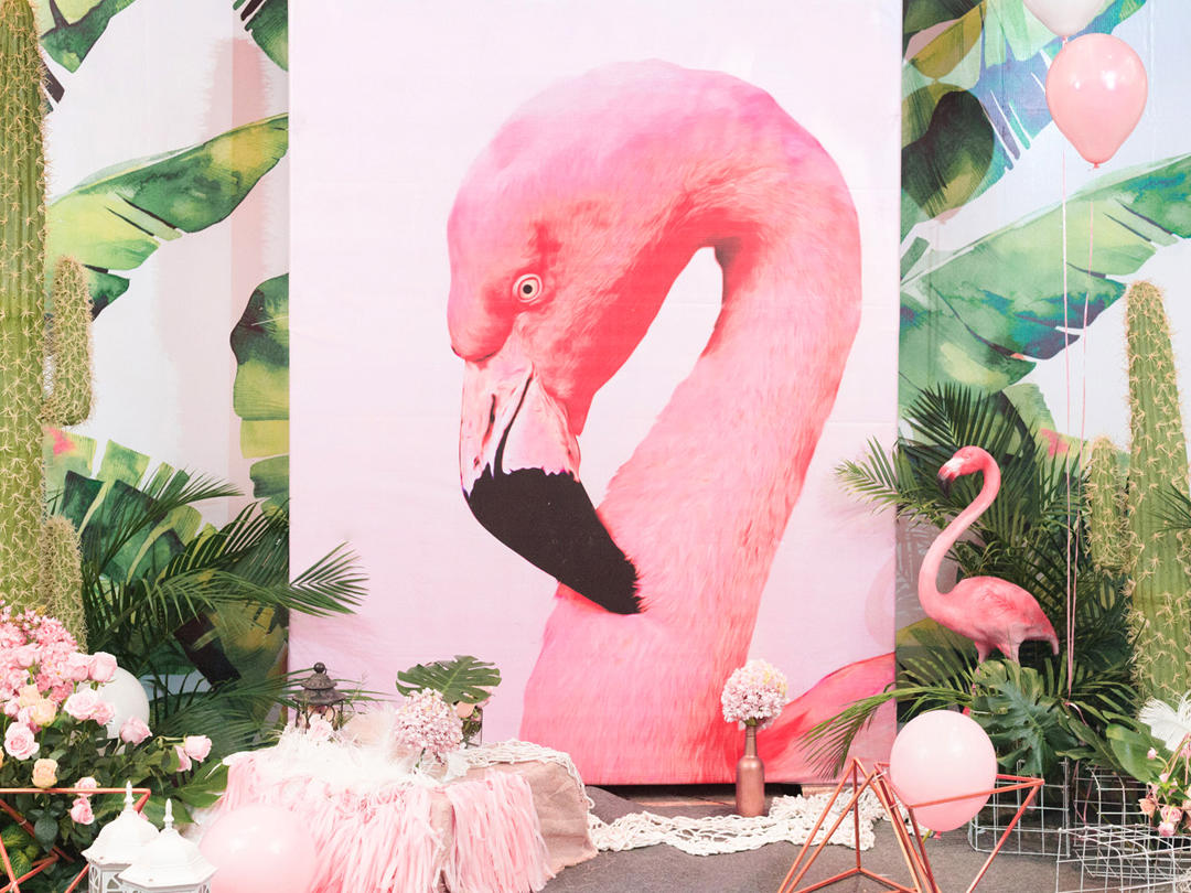 【火烈鸟】2019原创森系火烈鸟+策划+督导