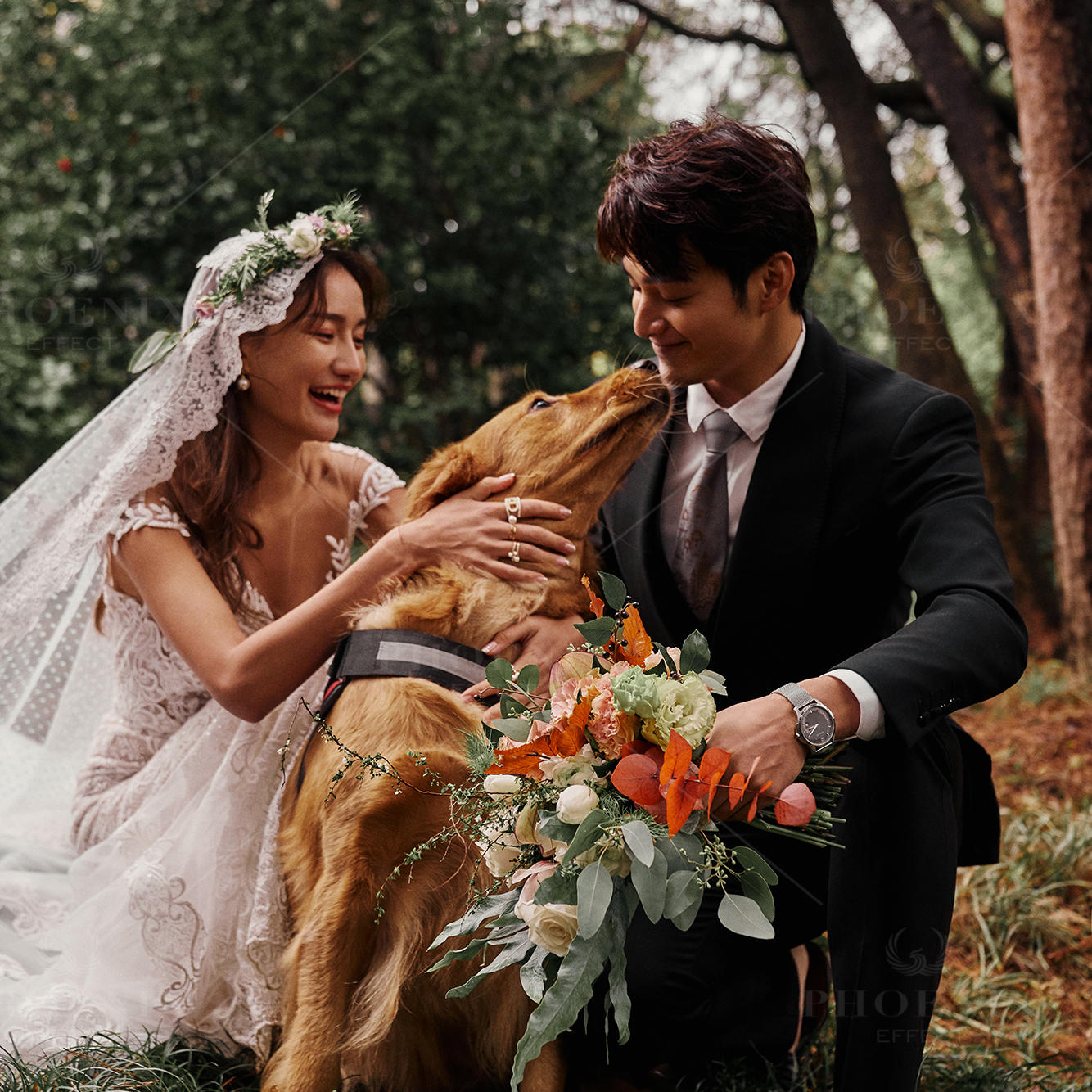 【凤凰印象】情绪至感——萌宠物语