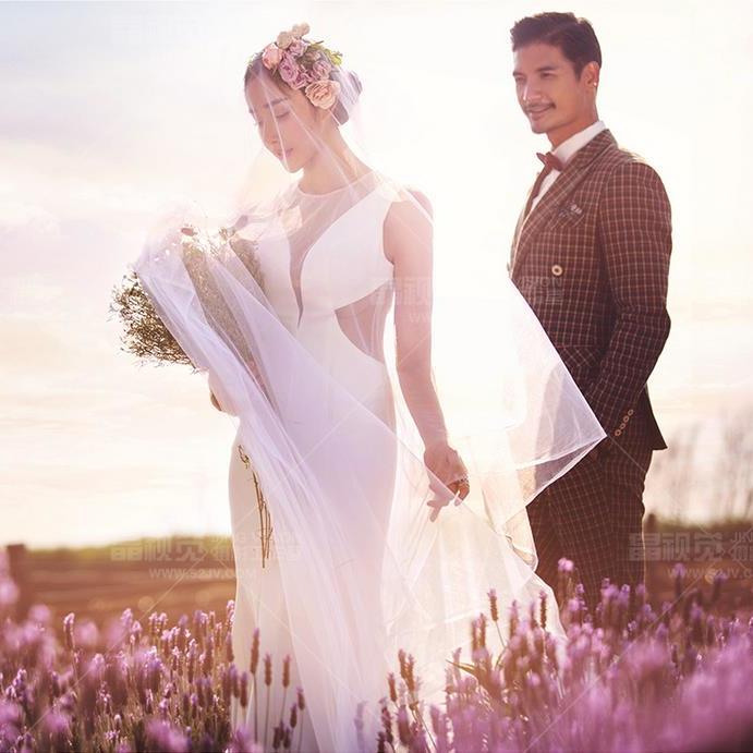 晶视觉【春季浪漫花期】系列