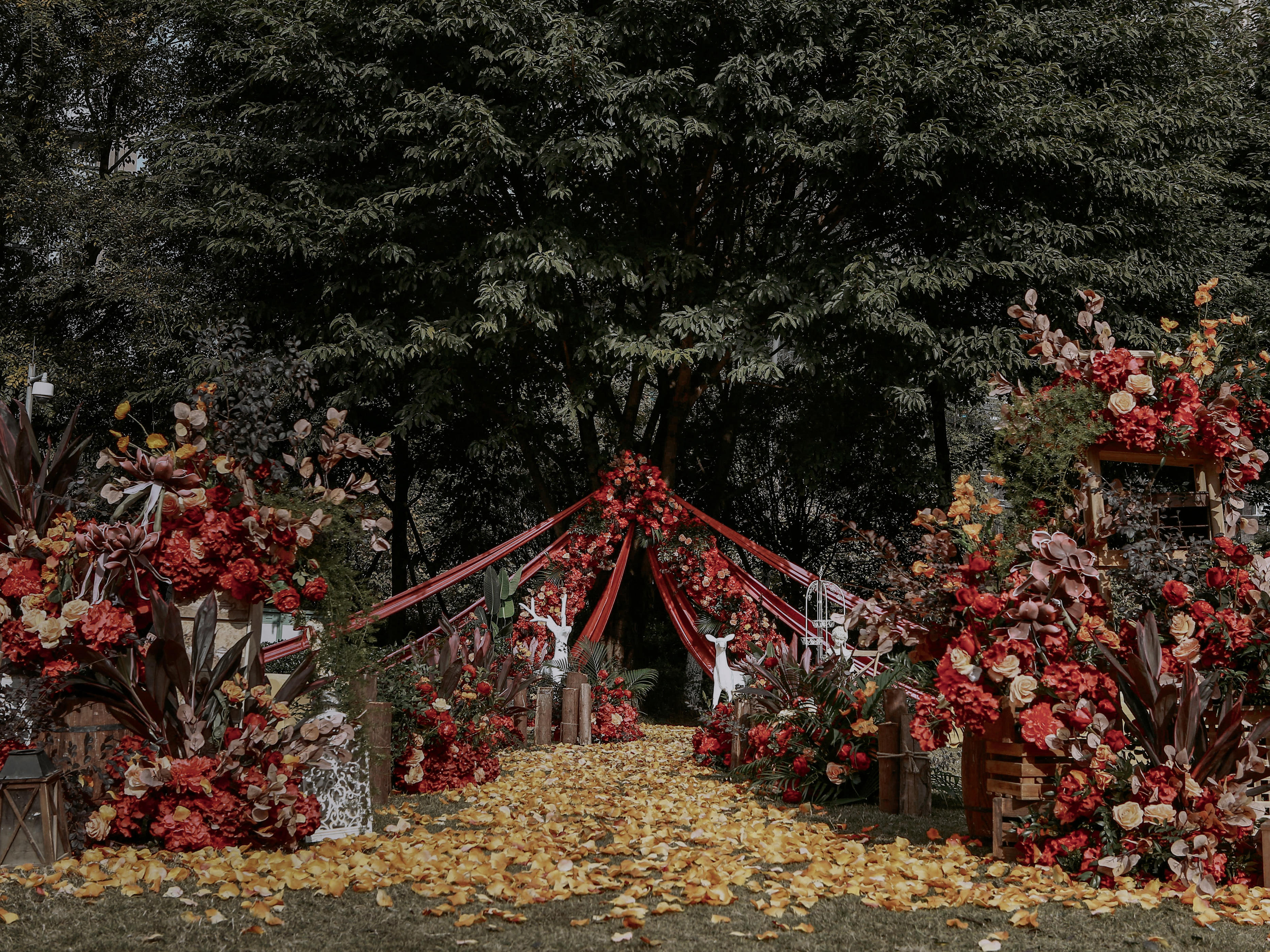 【户外婚礼】领取你的专属布置