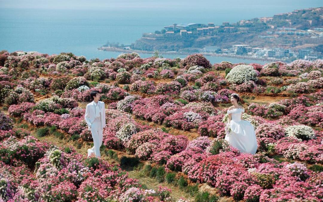 沉溺在洱海邊的浪漫里??花海森系婚紗照