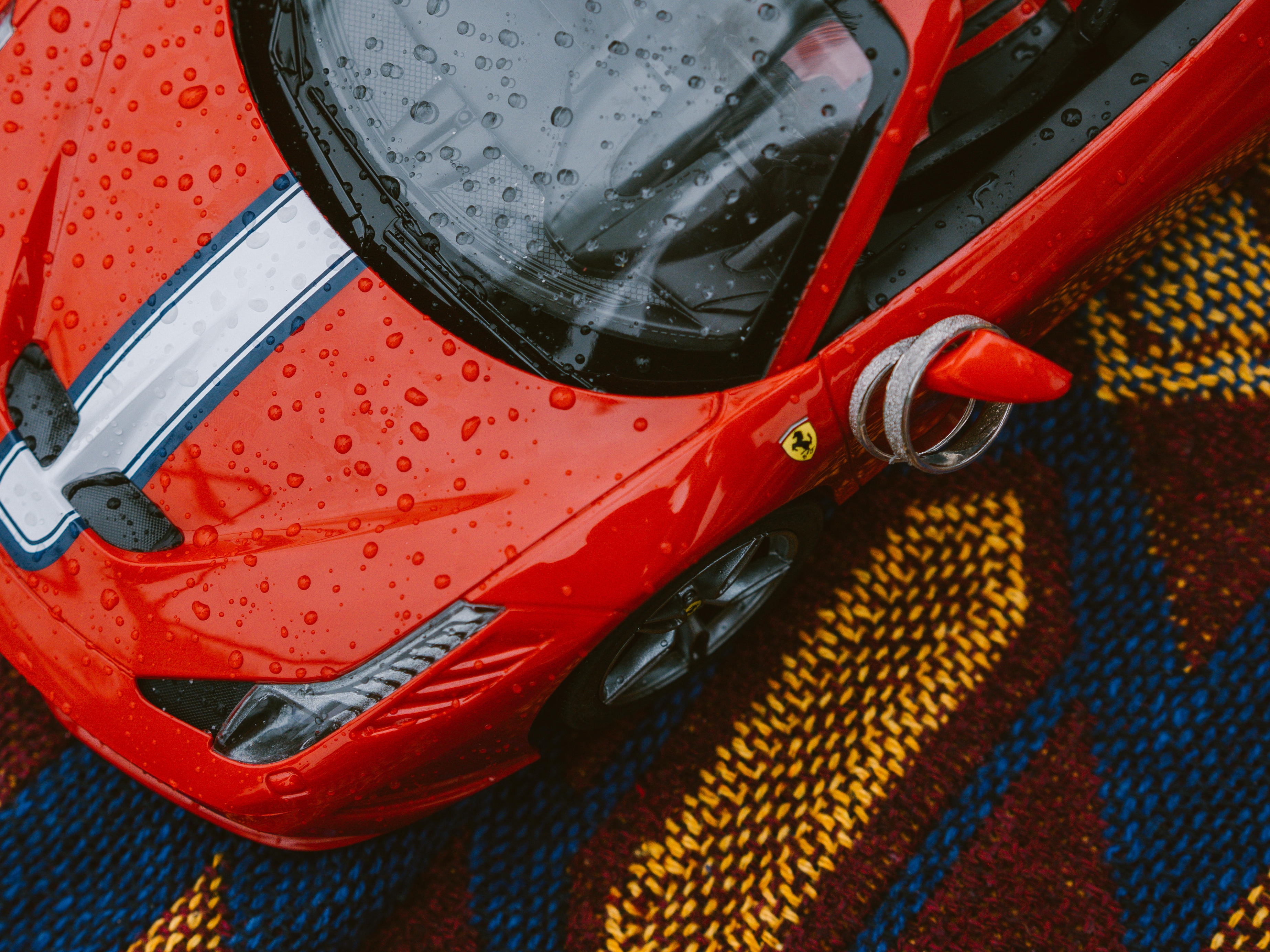 【白头吟】朦胧细雨中，“爱”悄然而生！