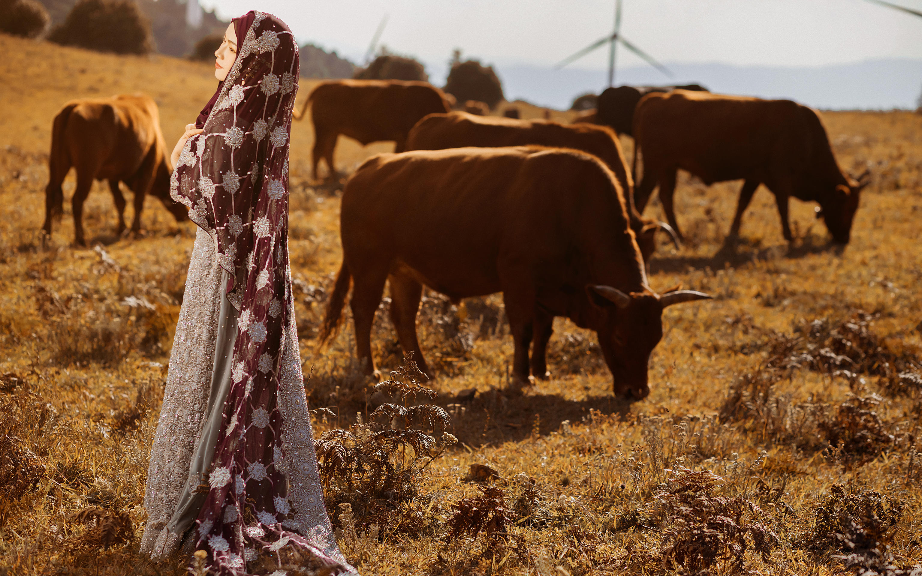 大理  两天环海定制系列品牌创始人档