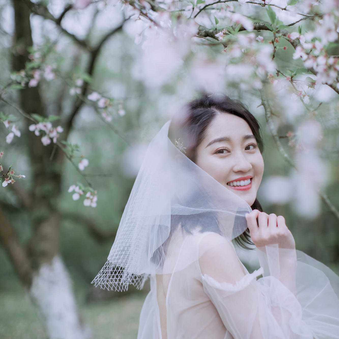 春季特惠 l 单组婚纱照
