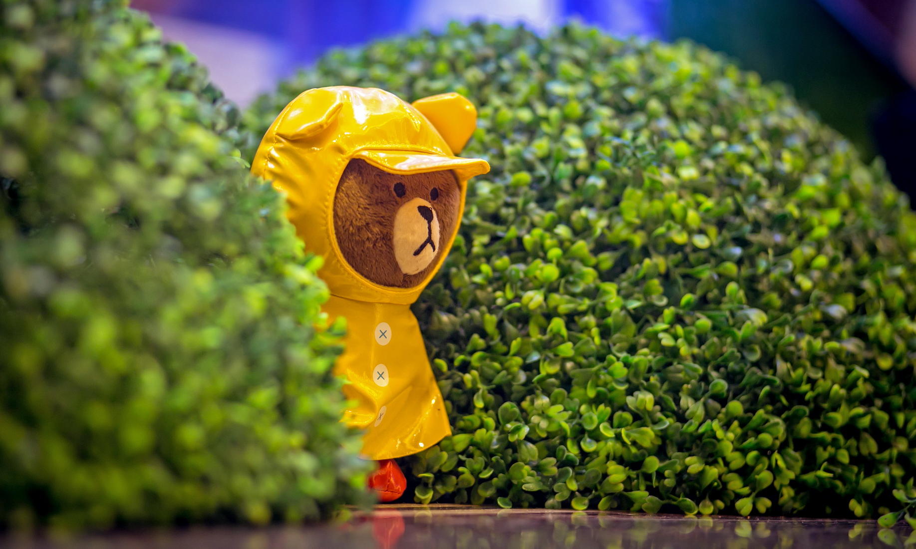 纪念策划［line主题婚礼］