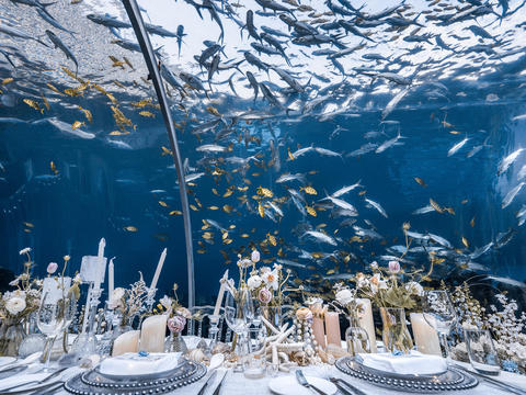 梦幻海洋婚礼 | 掉进蔚蓝的海底世界