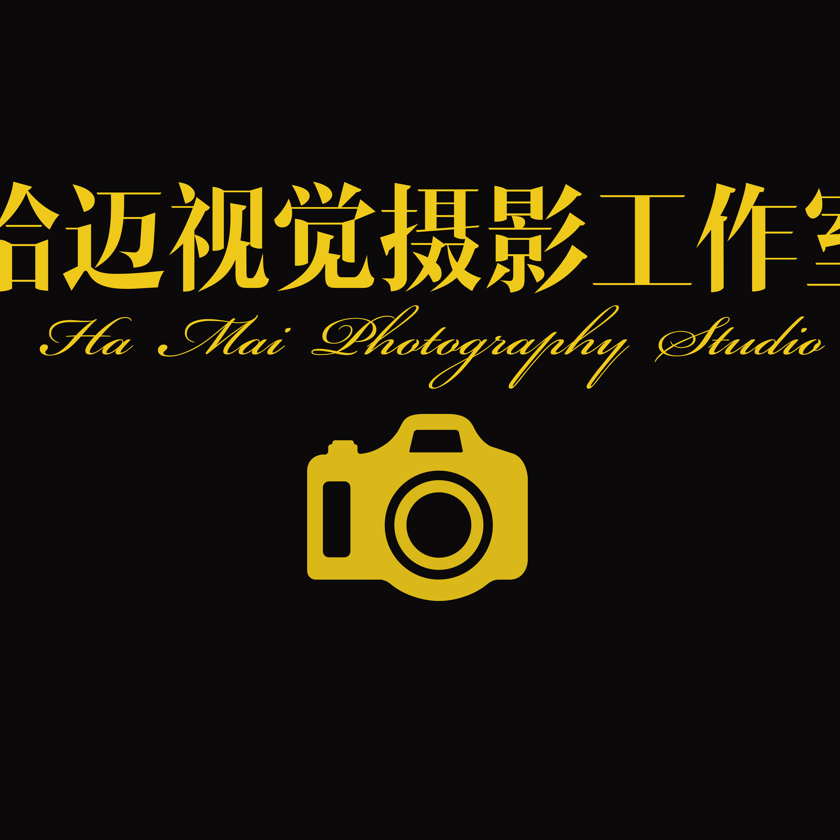 哈迈视觉