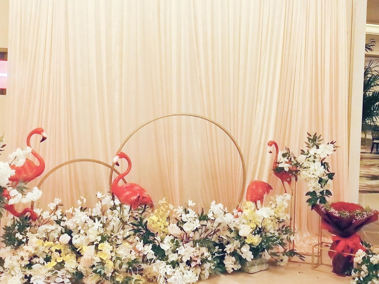 『玫木源』《Light》赠送跟拍跟摄