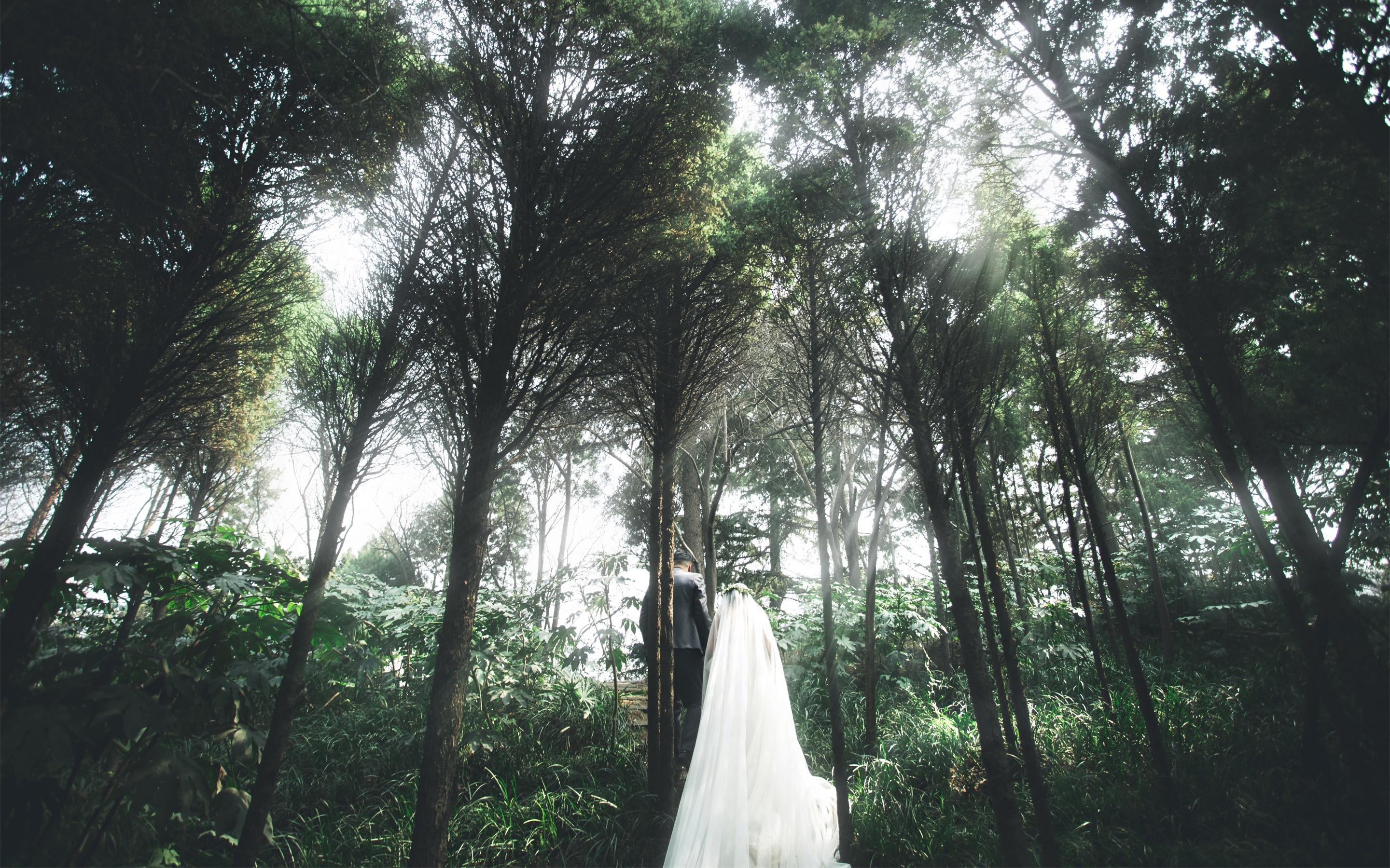 贈送3000元禮包【高性價比】總監(jiān)團(tuán)隊一對一服務(wù)