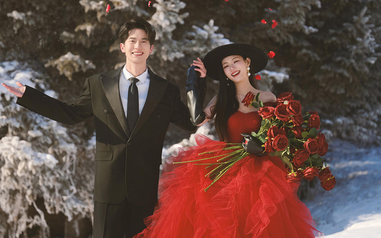 雪地里的红玫瑰 是我为你心动的证明