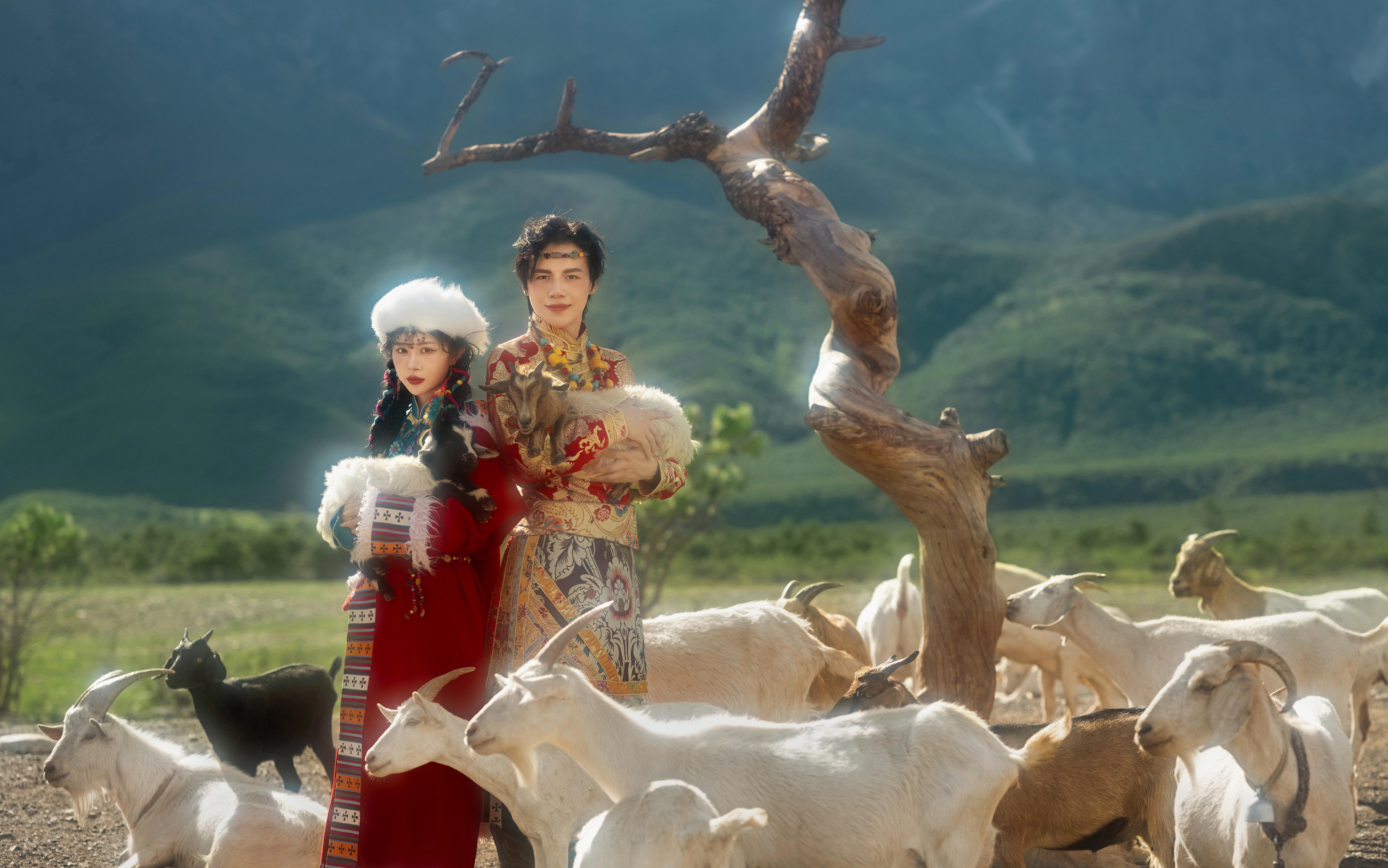 高山牧羊