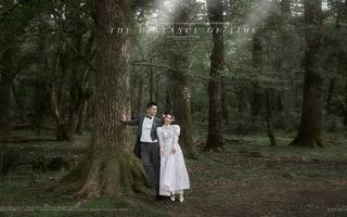 丽江旅拍|暮光森林里の氧气婚纱照🍃